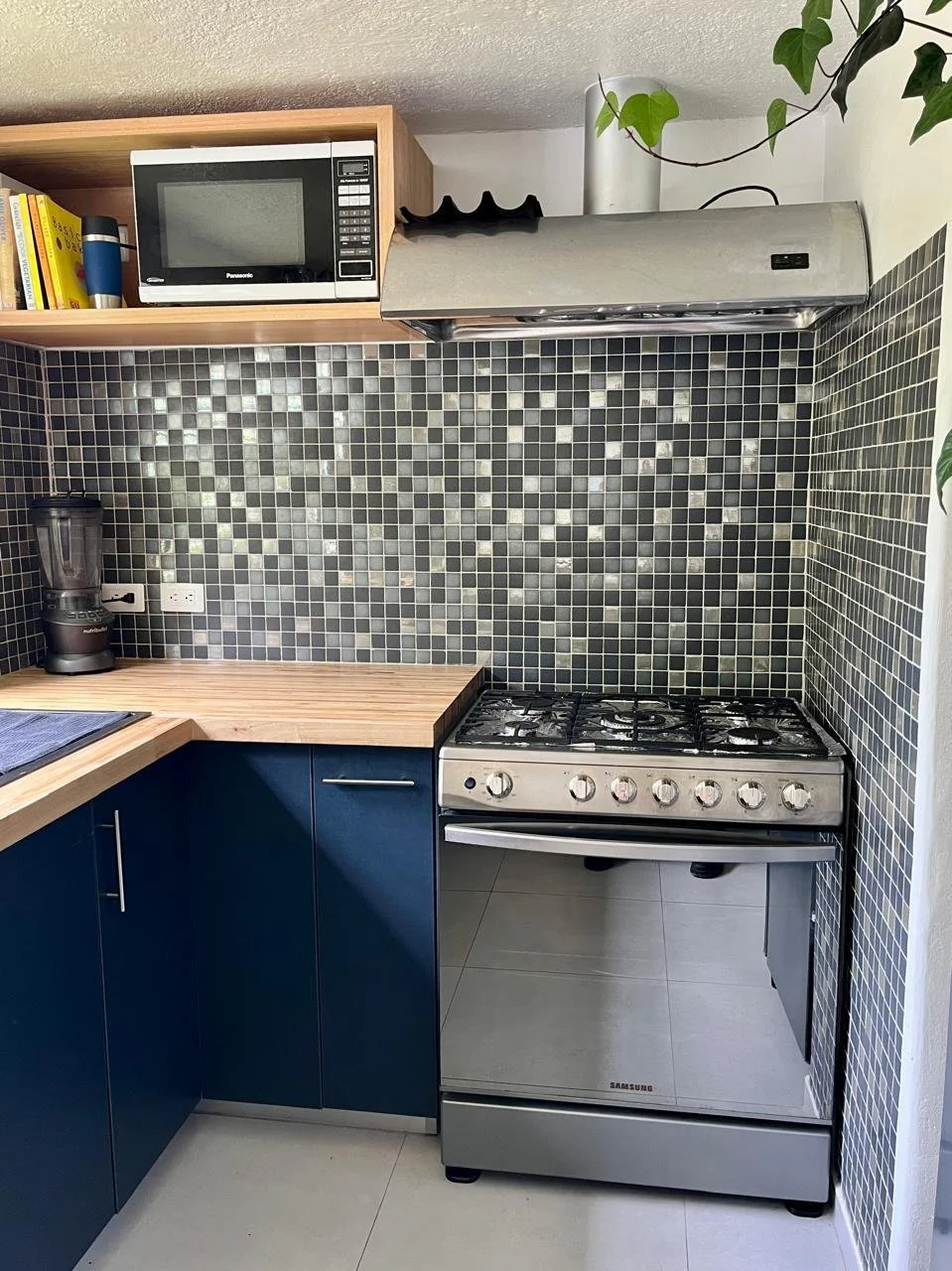 Kitchen corner with a microwave on a wooden shelf, a coffee maker, a blender, a stovetop oven, and a potted plant, with a mosaic tile backsplash.