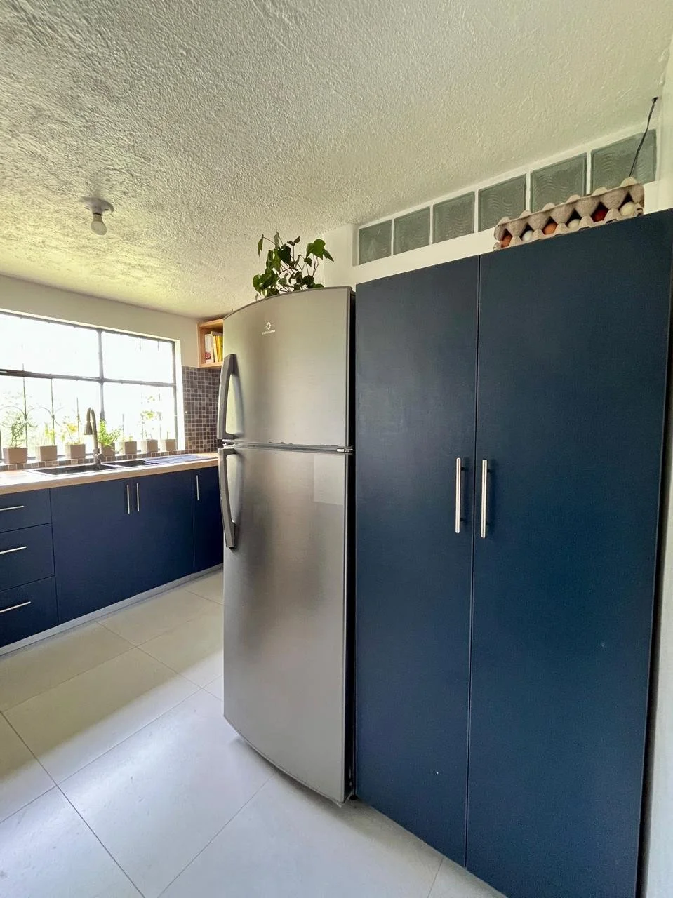 Kitchen with blue cabinets, stainless steel refrigerator, window with potted plants, and egg cartons on top of cabinet.