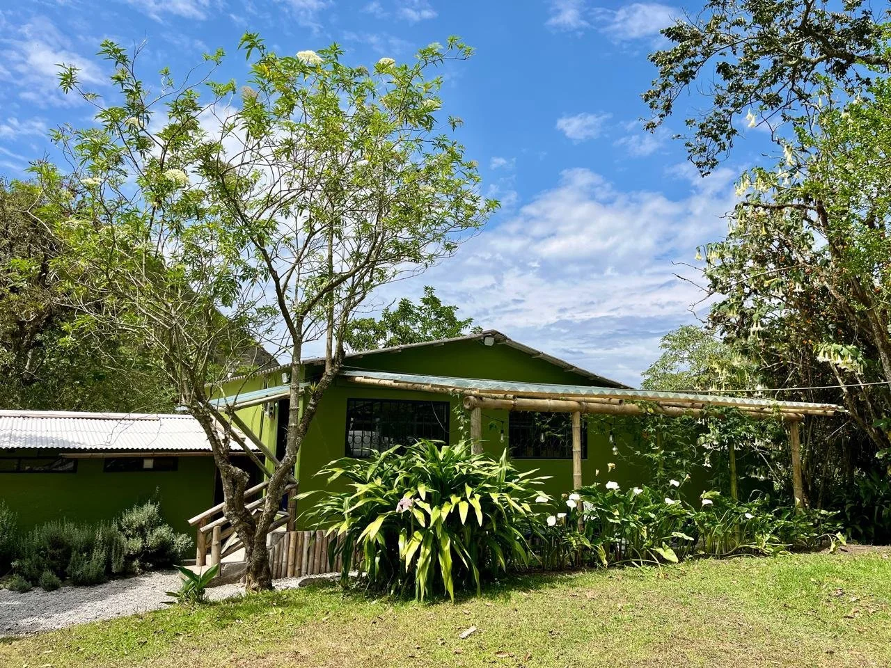 A green house surrounded by trees and plants, with a blue sky and some clouds overhead.