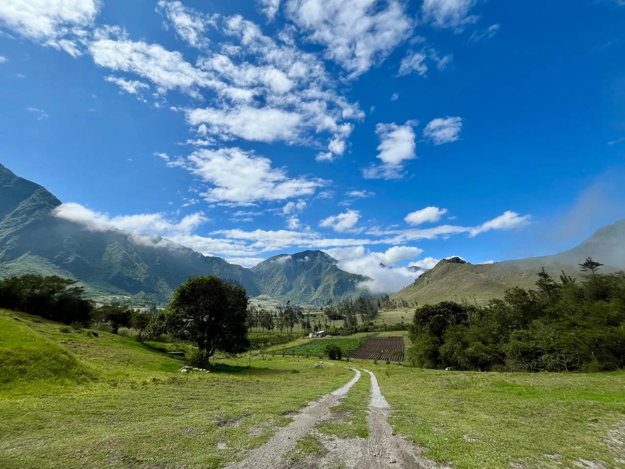 A scenic view of a grassy valley with a dirt path leading to distant mountains under a partly cloudy blue sky.