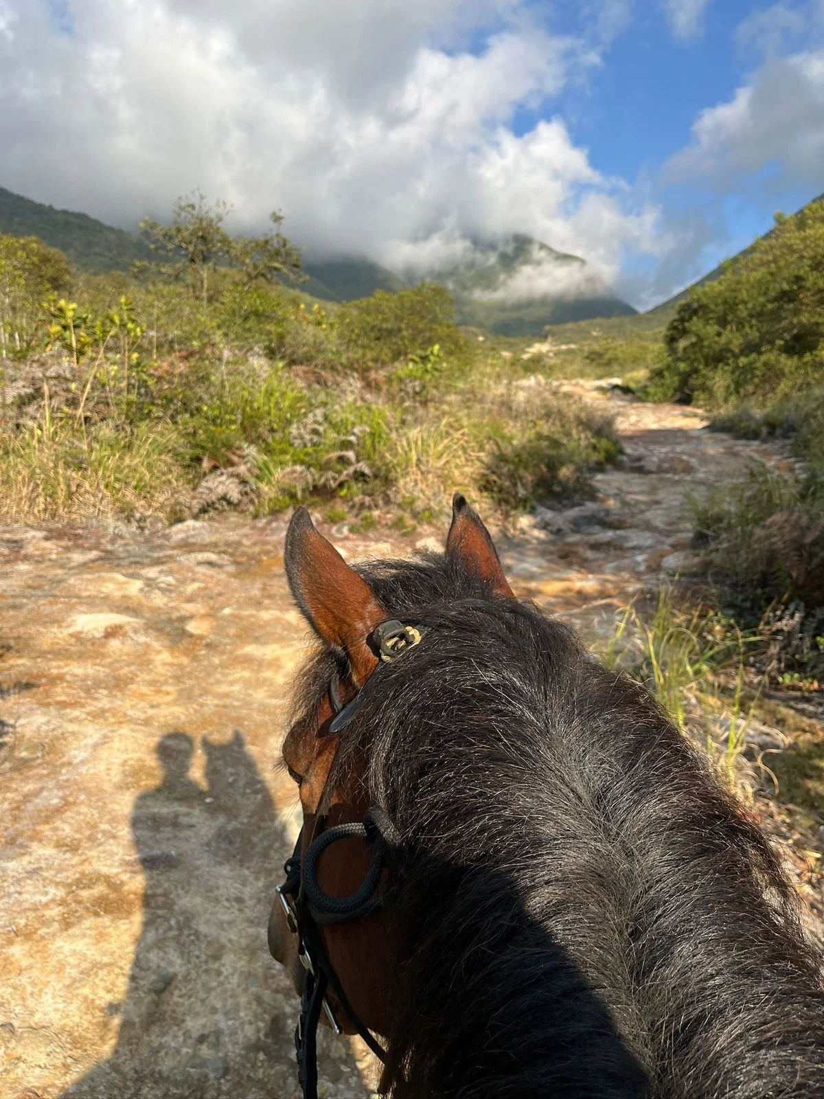 View from horseback of a rural mountain trail with greenery, mountains, and clouds in the background.