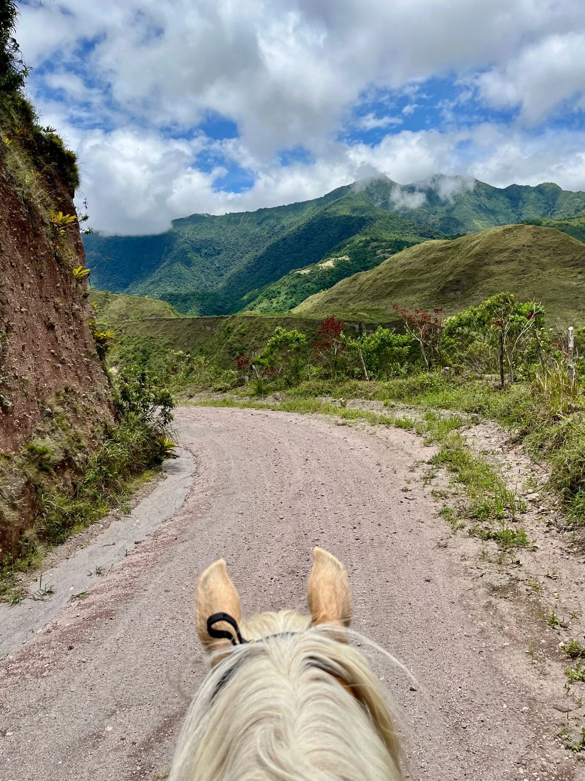 View from horseback riding on a dirt trail through a green mountainous landscape with cloudy sky.