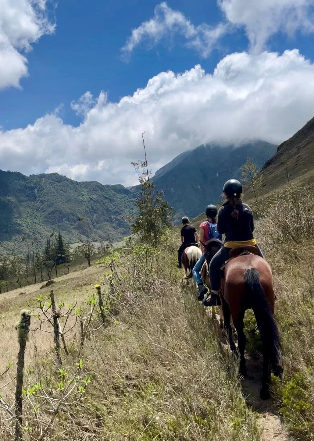 Four people riding horses on a narrow trail in a mountainous landscape with green hills, sparse trees, and partly cloudy blue sky.