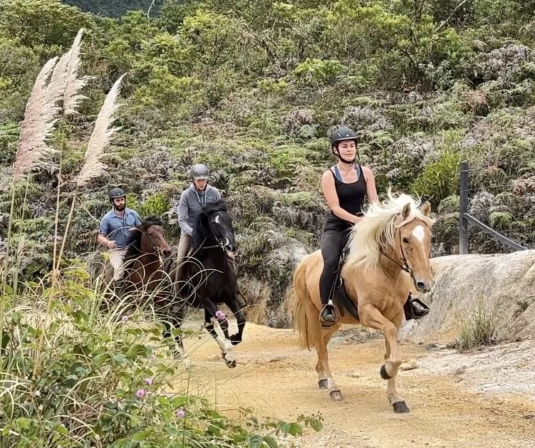 Three people riding horses along a dirt trail surrounded by green plants and rocks.