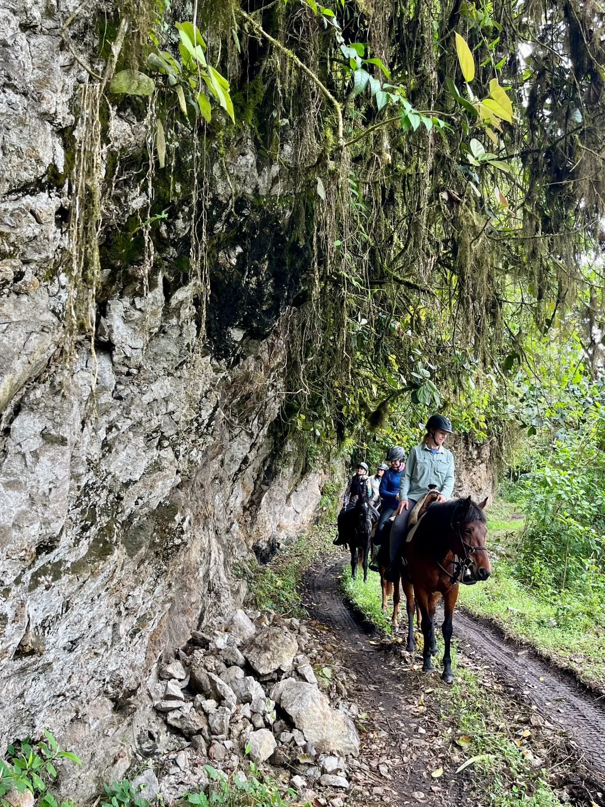 Four people riding horses along a narrow trail with a rocky limestone cliff on the left and dense green foliage on the right.