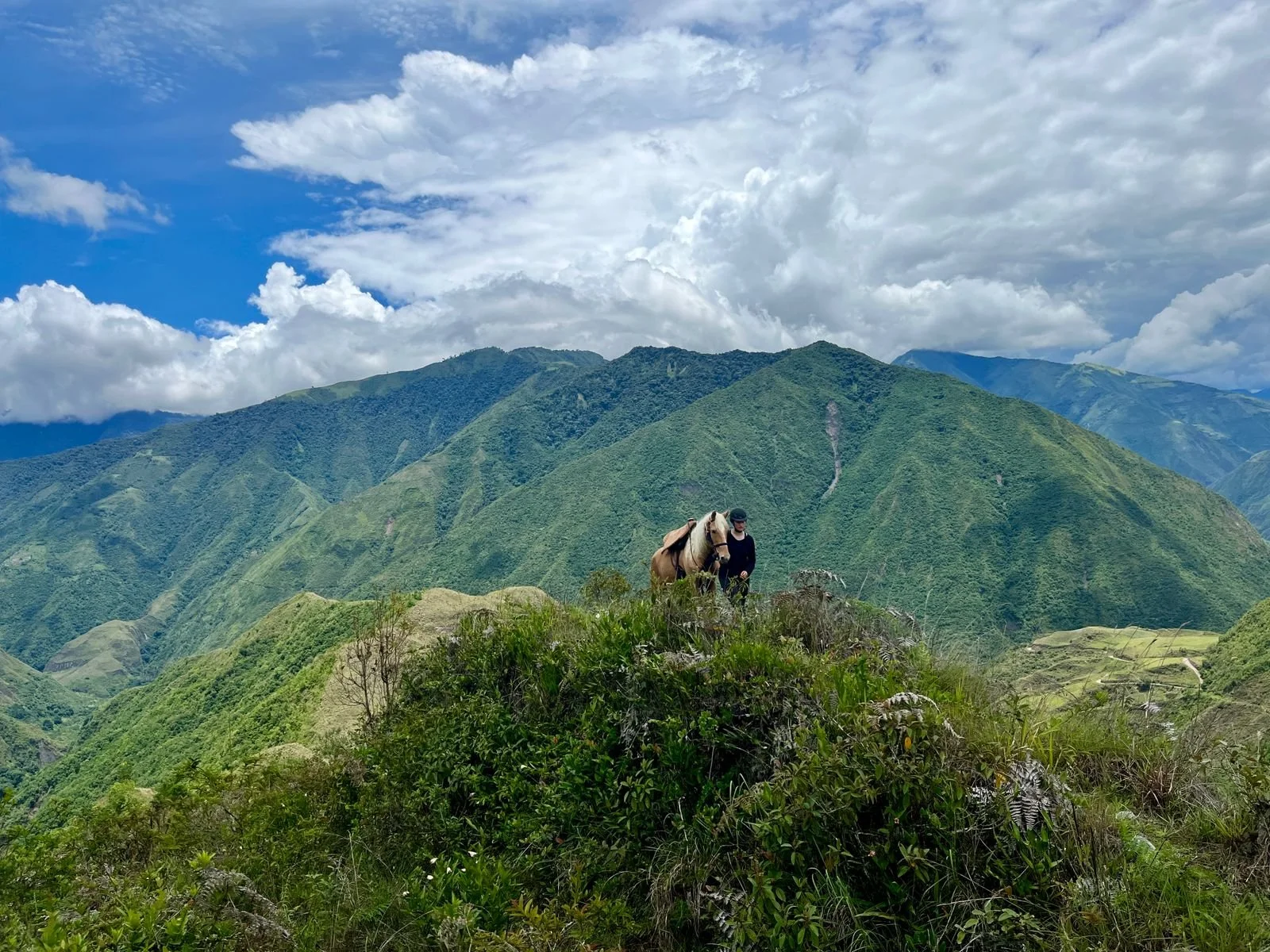A person with a horse standing on a lush green mountain ridge with a mountainous landscape and partly cloudy sky in the background.