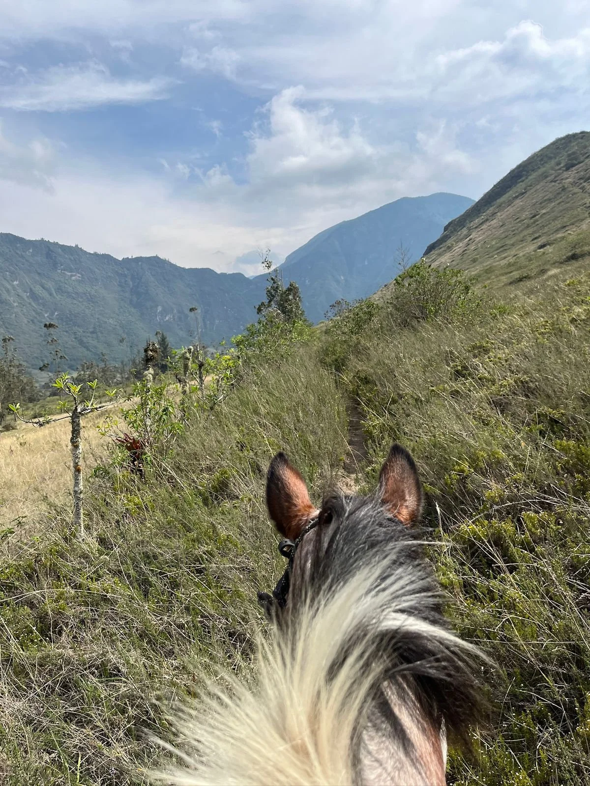 View from horseback riding trail in a mountainous area with green hills, distant mountains, partly cloudy sky, and a horse's ears and mane in the foreground.