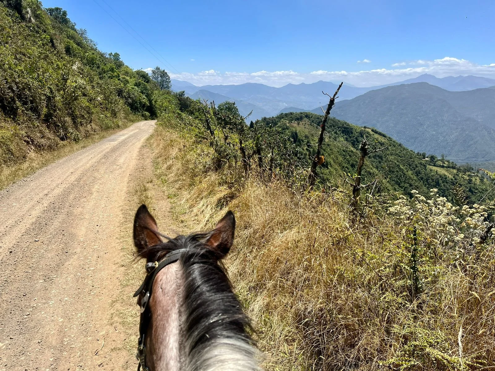 View from horseback on a dirt mountain trail with dry grass, bushes, and distant mountains under a clear blue sky.