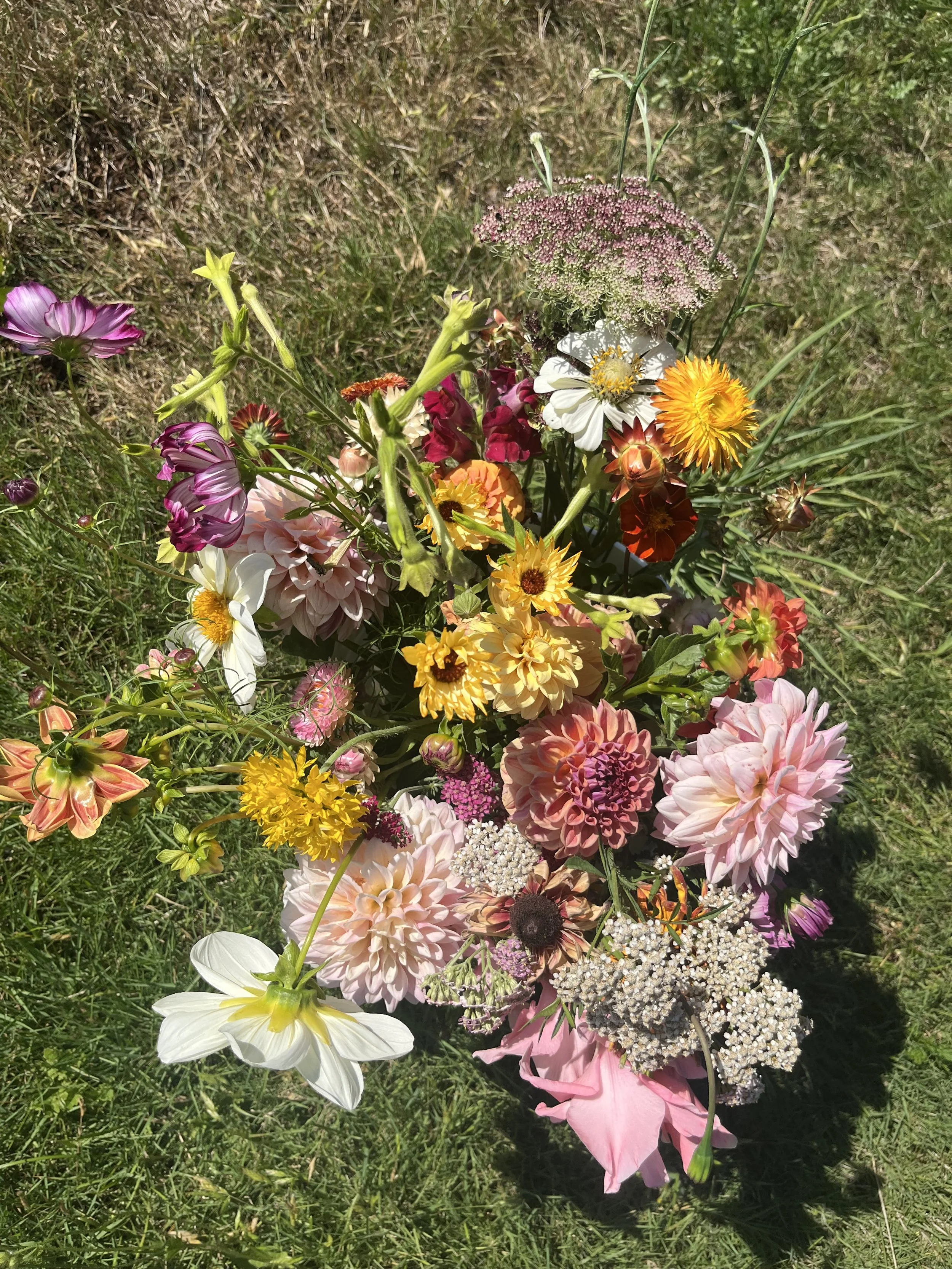JUNE1st- OCTOBER 10th ONLY ~ 2 gallon bucket of cut flowers