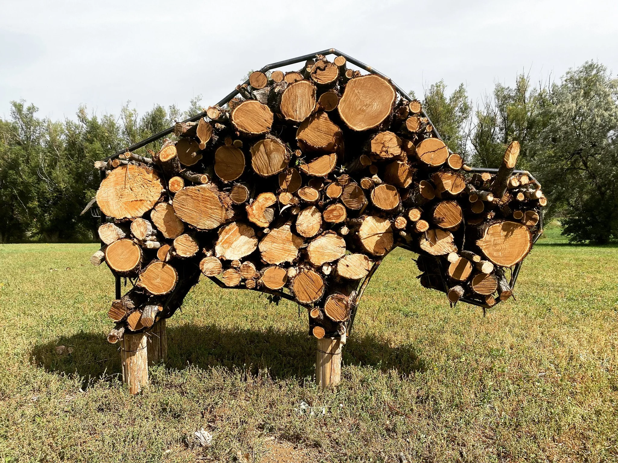 Bison Wood Rack, 2022