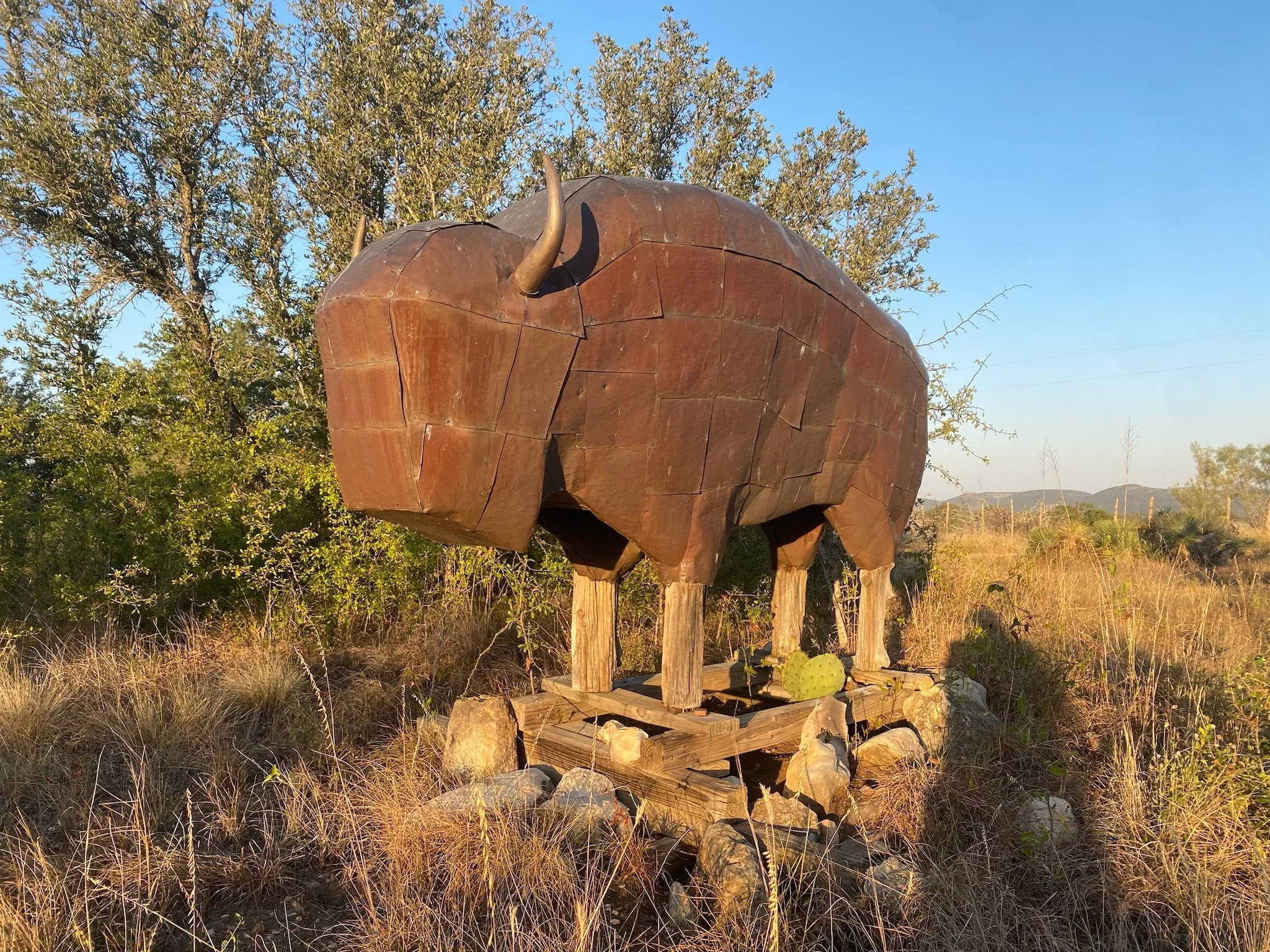 Copper Bison, 1998