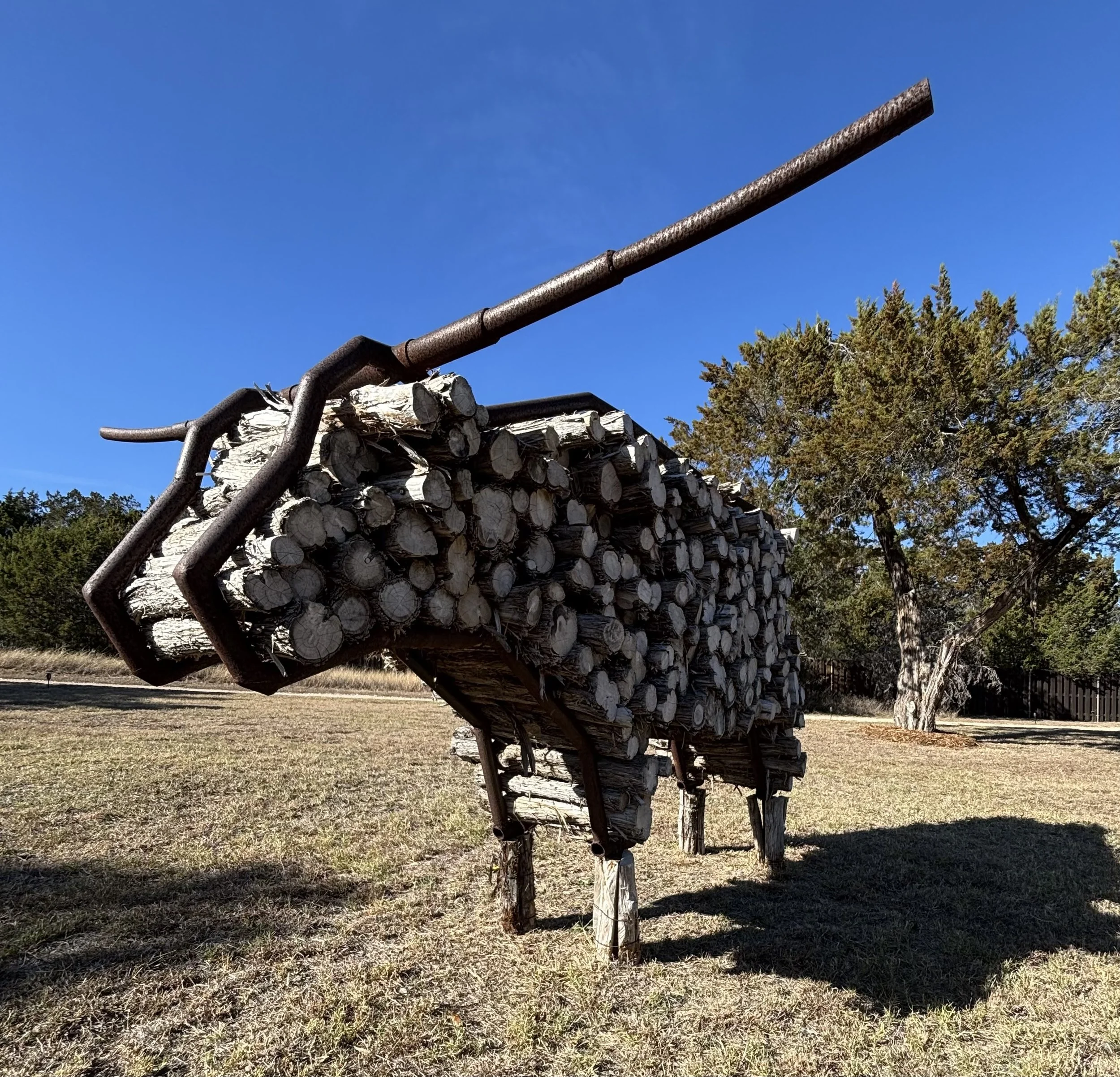 Longhorn Wood Rack, 2022