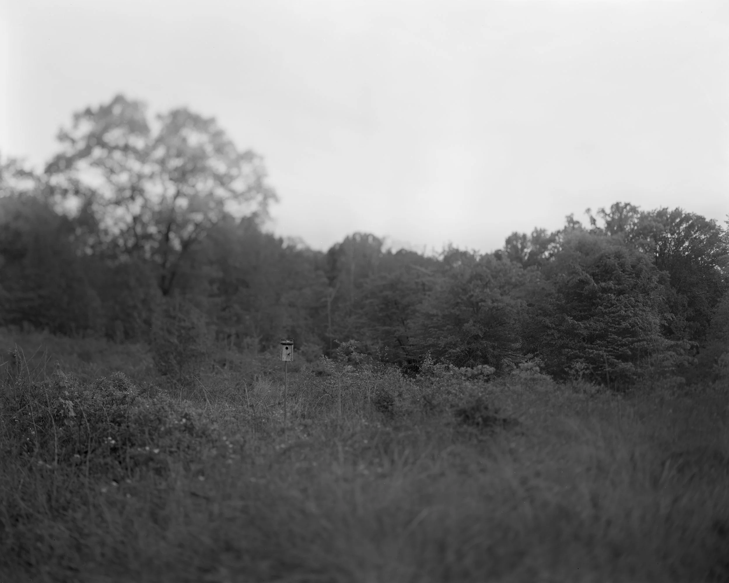 JP_W6_04.jpg