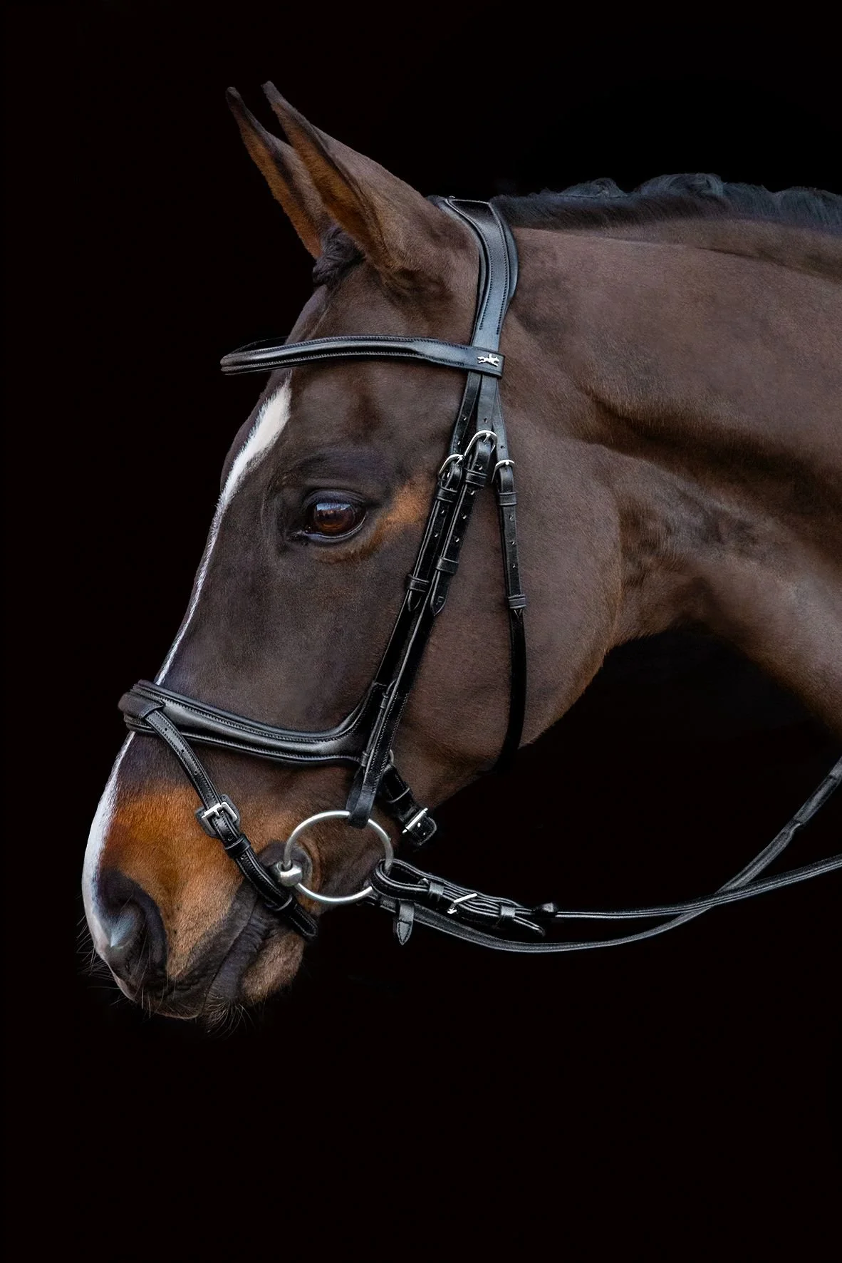 Ancona Select bridle by Schockemöhle Sports