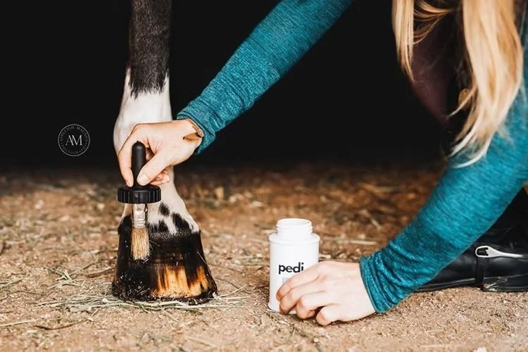 Pedi Hoof Conditioner.jpg