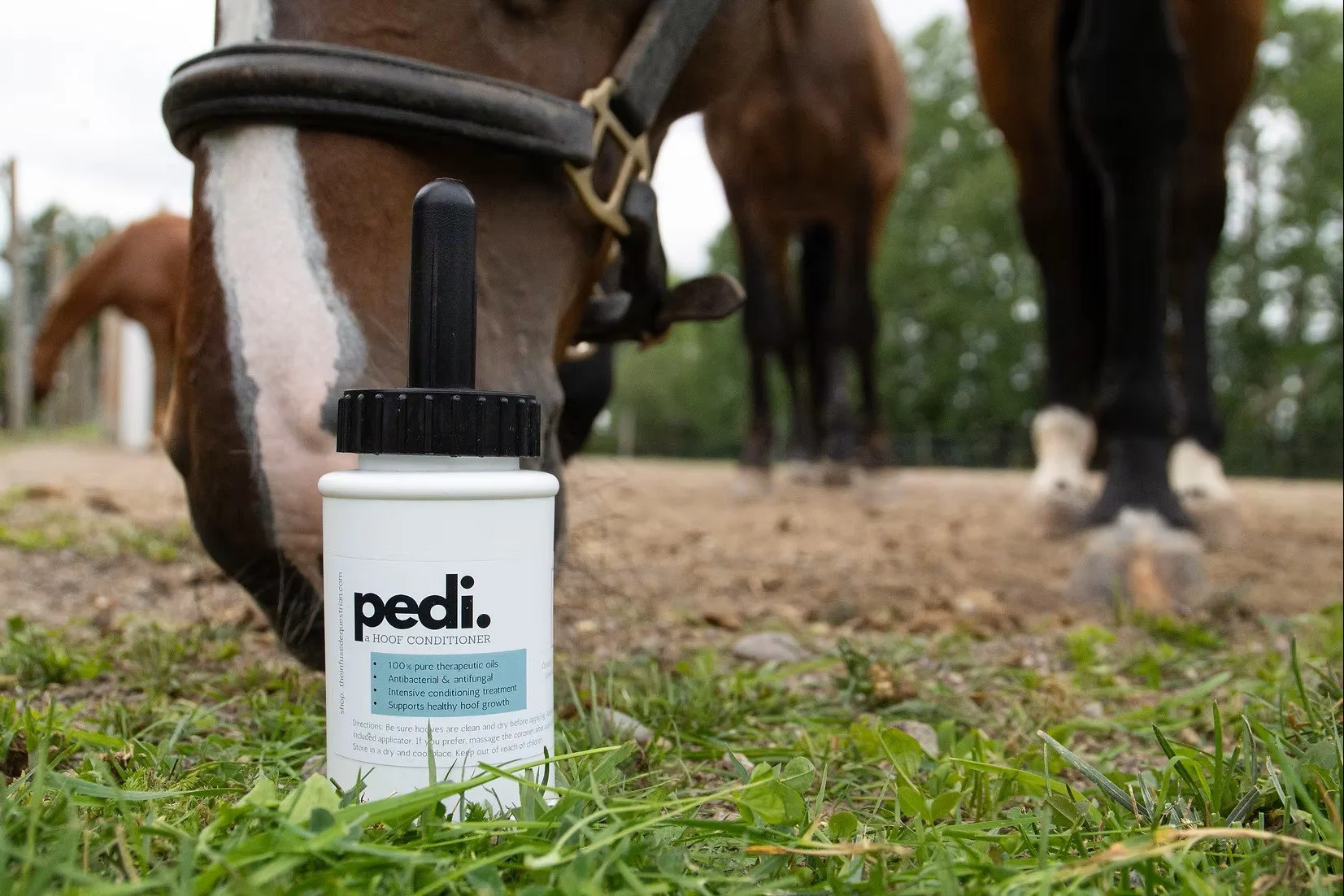Hoof Conditioner pedicure for horses.jpg