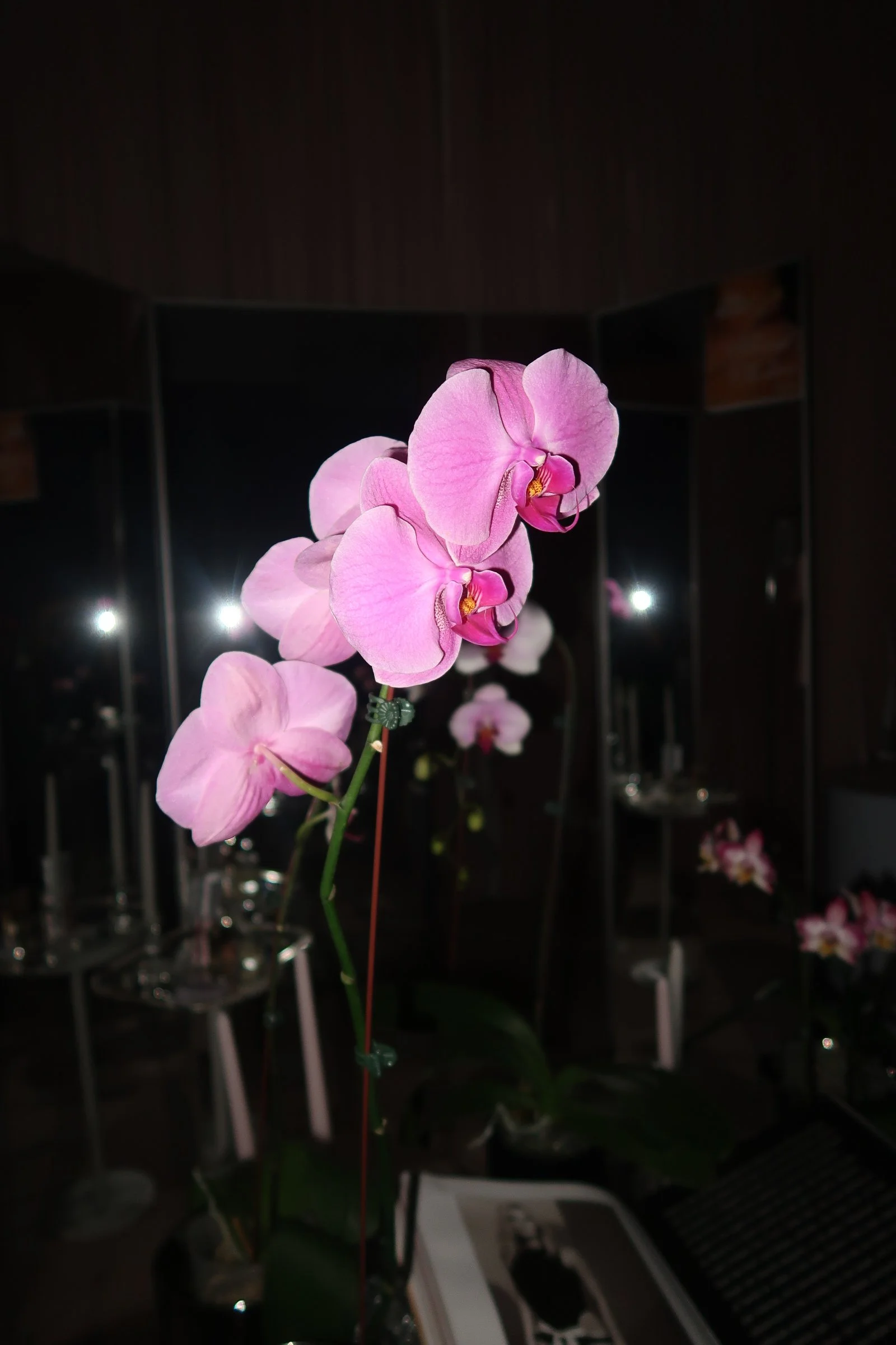 IMG_0163.JPG