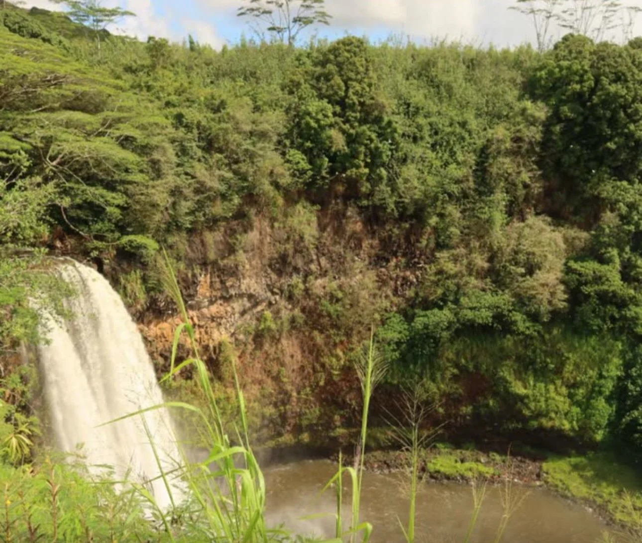  A reminder that your love keeps growing and your family keeps blooming in the most beautiful ways. Dharma of new life.
Um lembrete de que o amor de vocês continua crescendo e que a família segue florescendo das formas mais lindas. O dharma de uma no