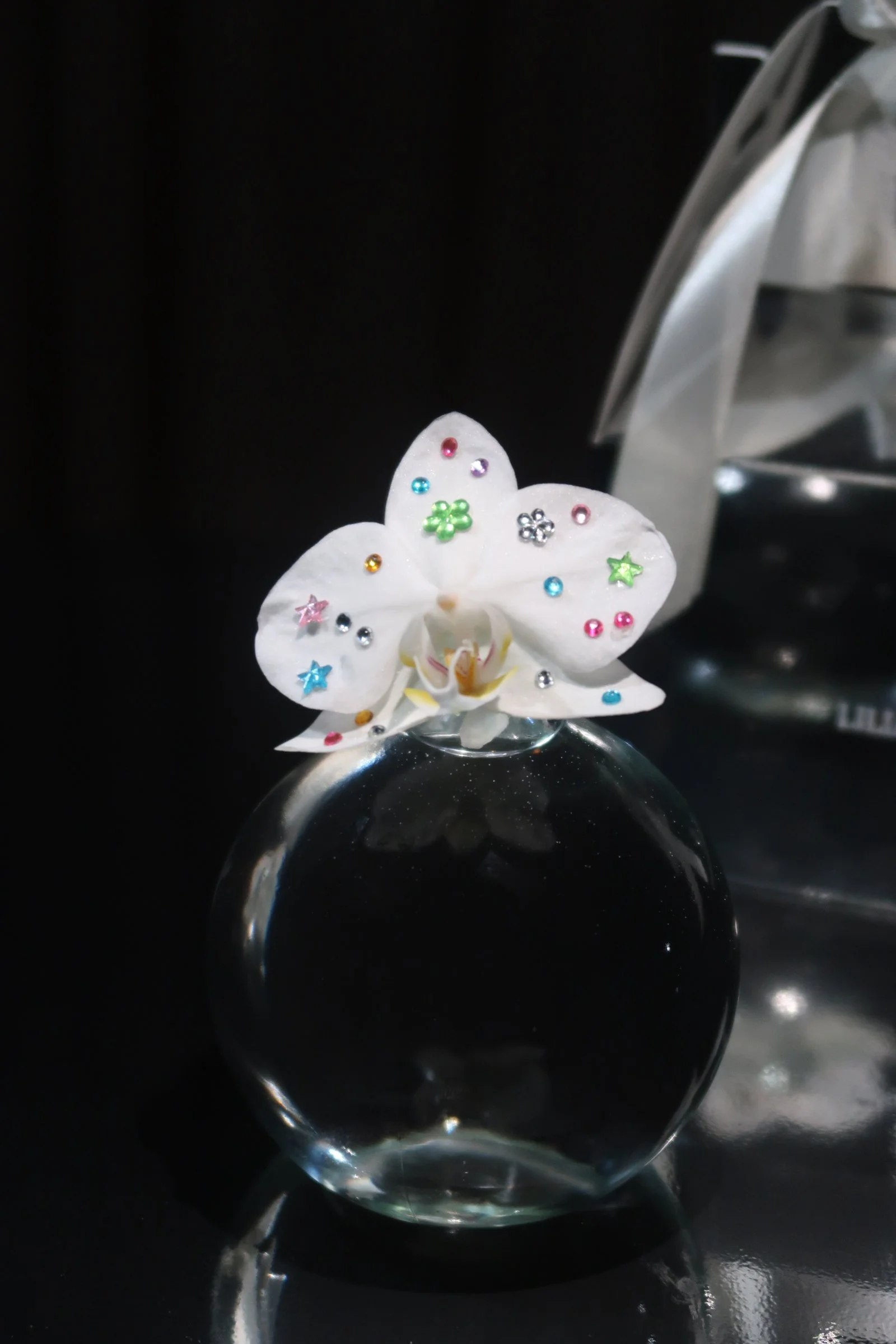 Orchid gem san diego.JPG