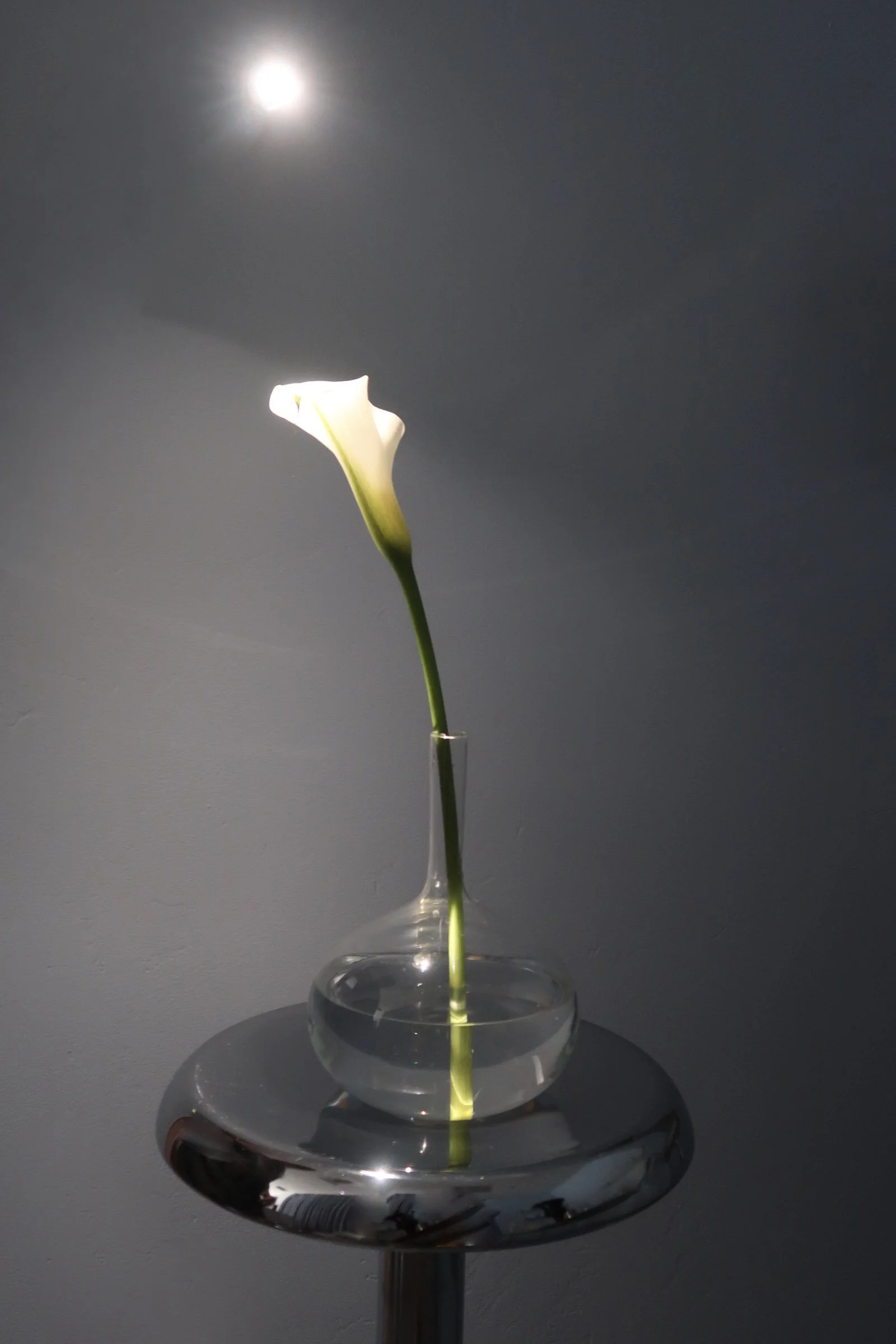 * The Unique Vase | Arrangement