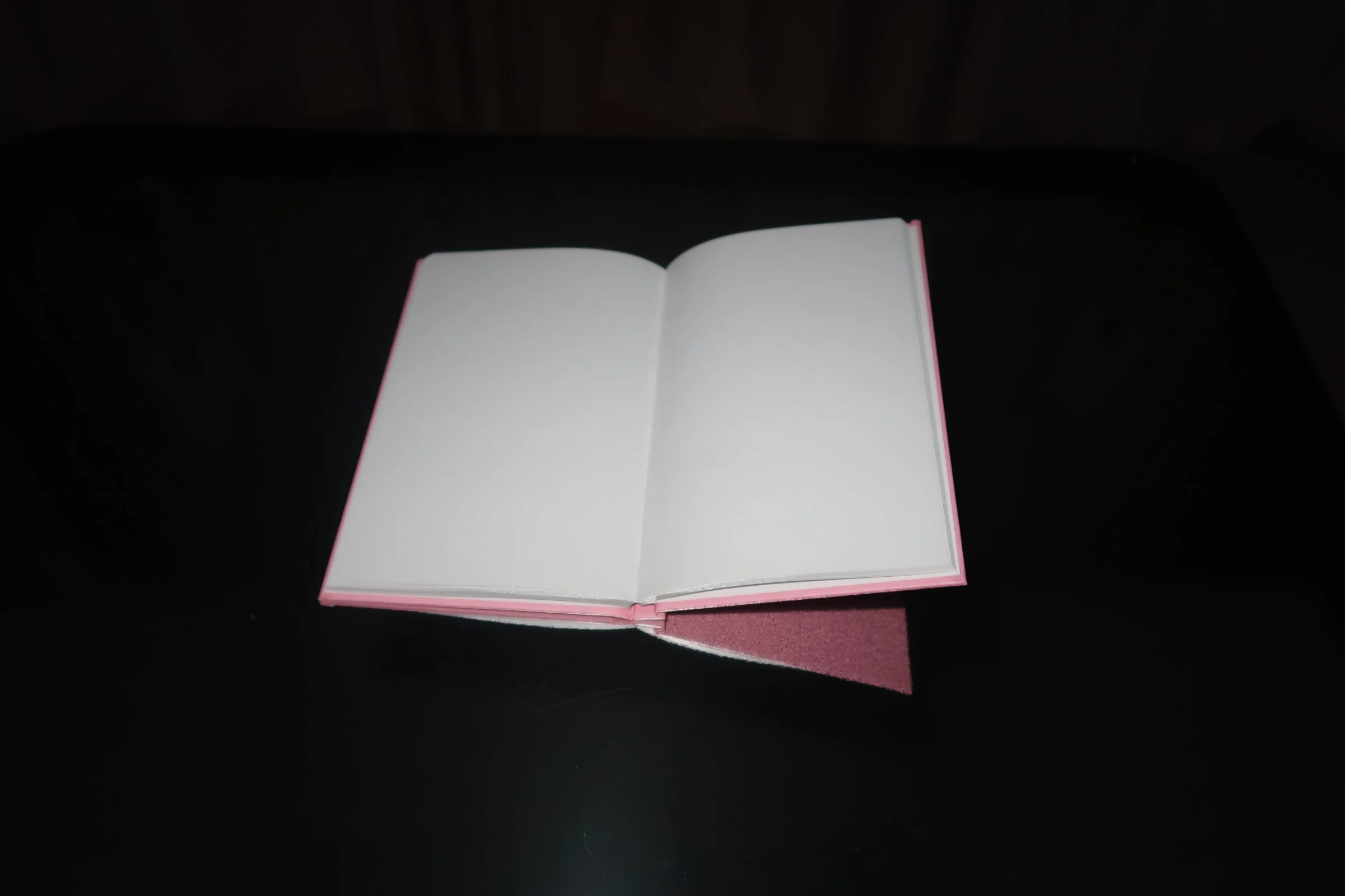 blank journal.JPG