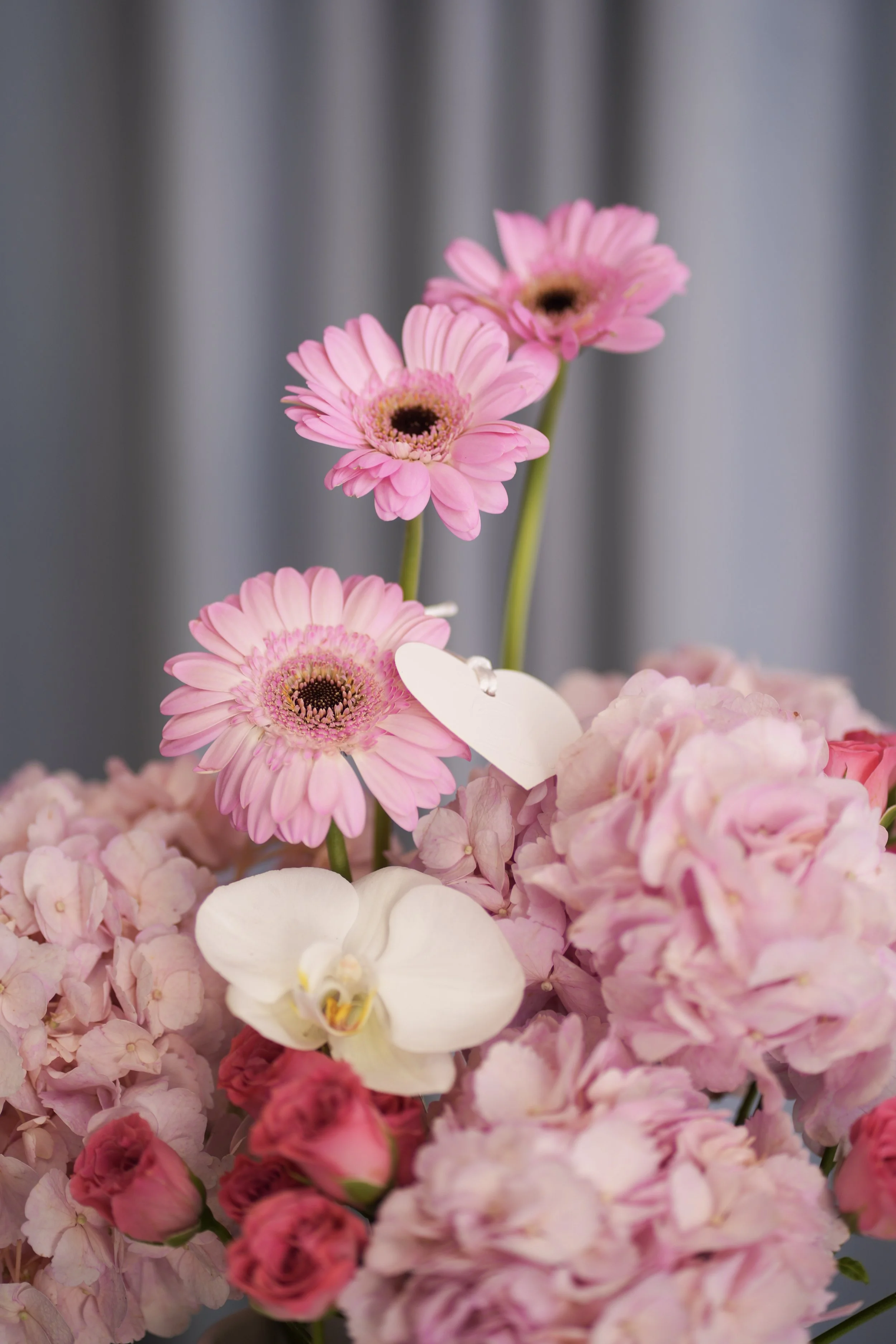 mothers day close up daisies justin beiber.jpg