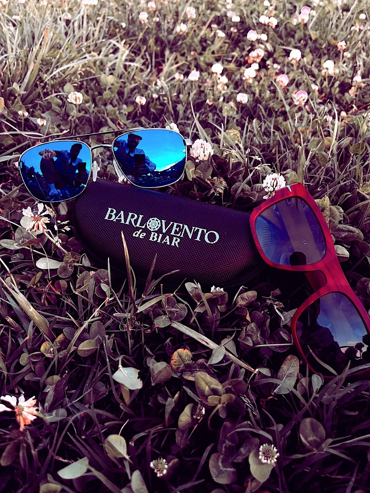 Gafas de sol