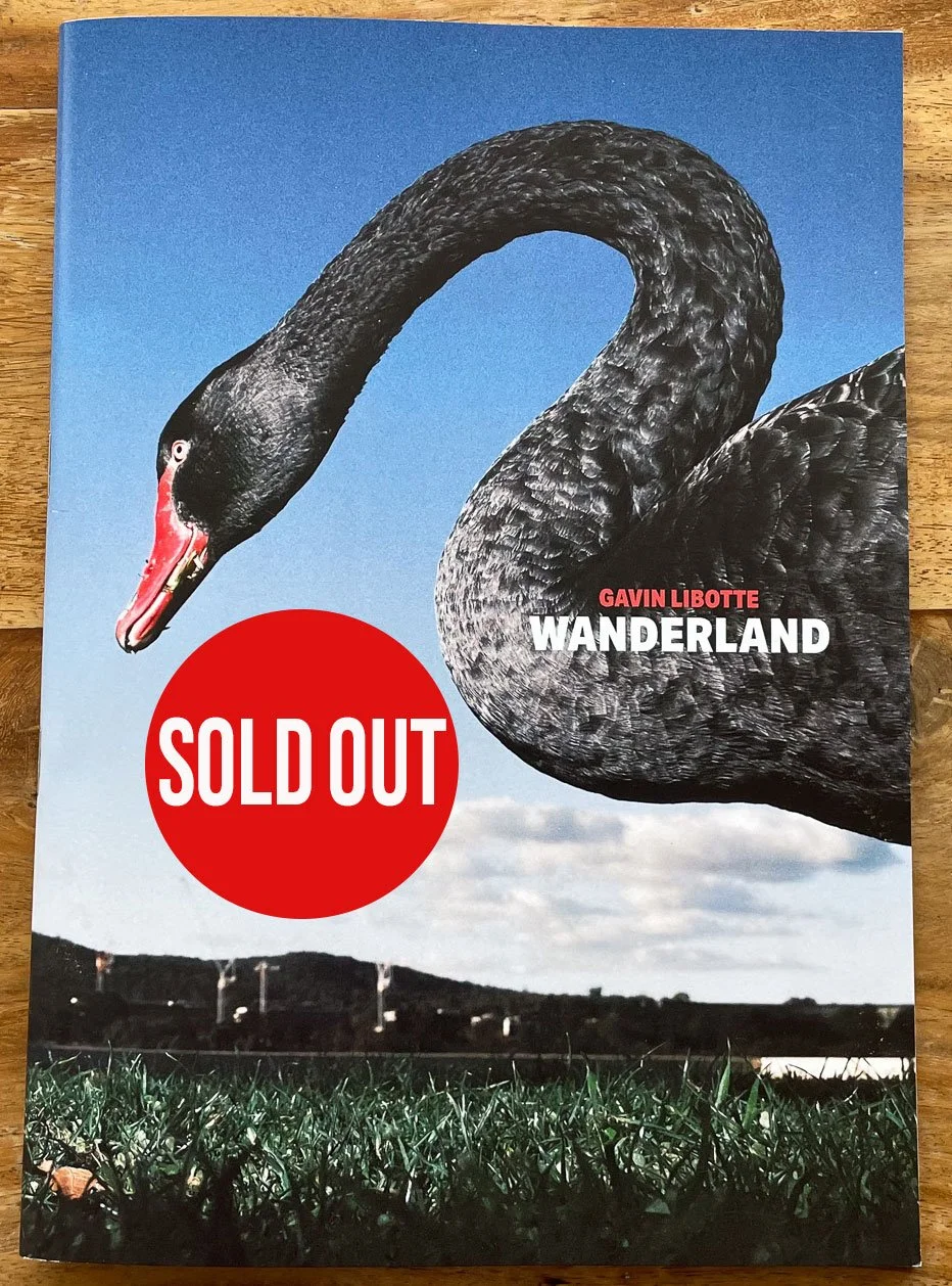 Wanderland Zine