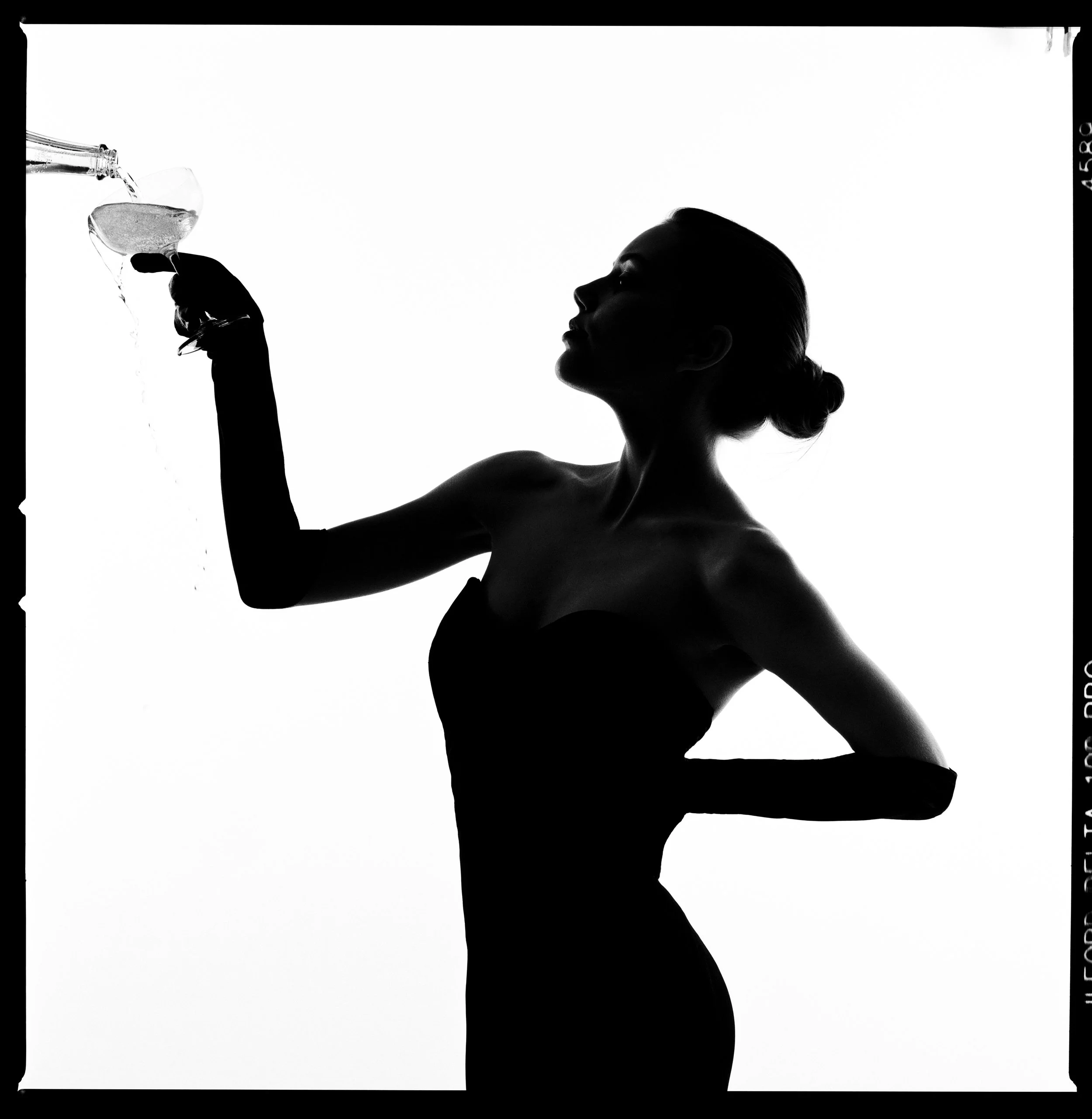 Champagne Pour Silhouette