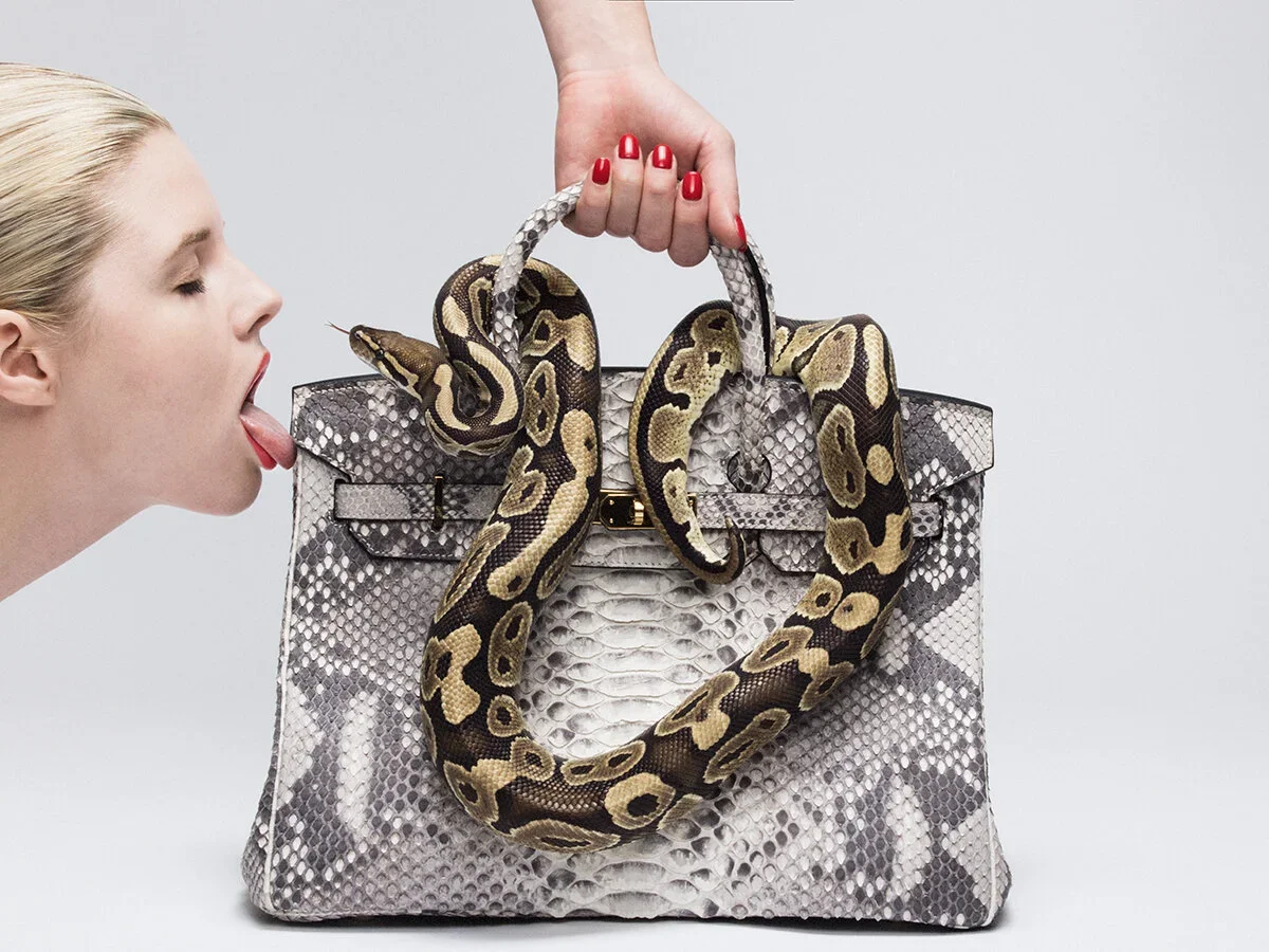 Python Birkin