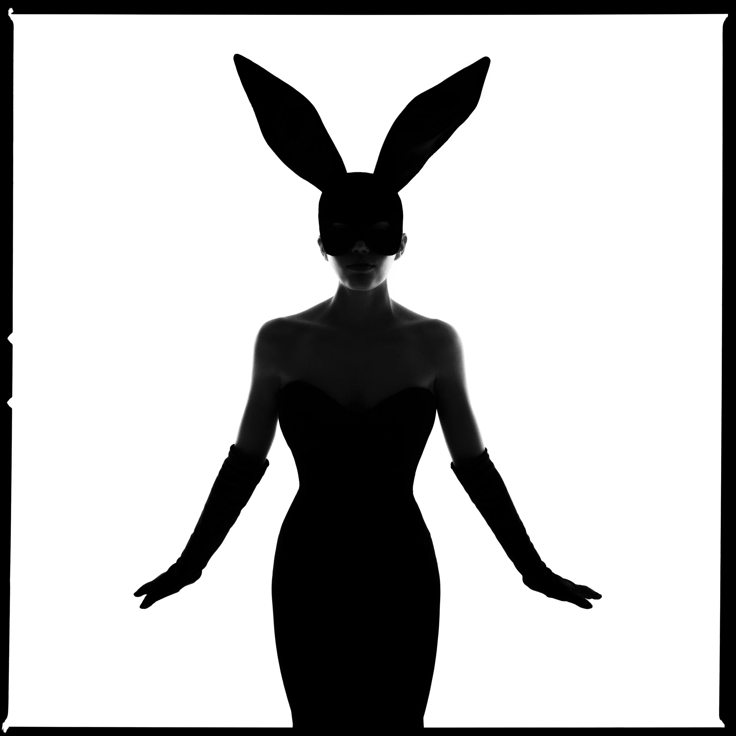 Bunny Silhouette II