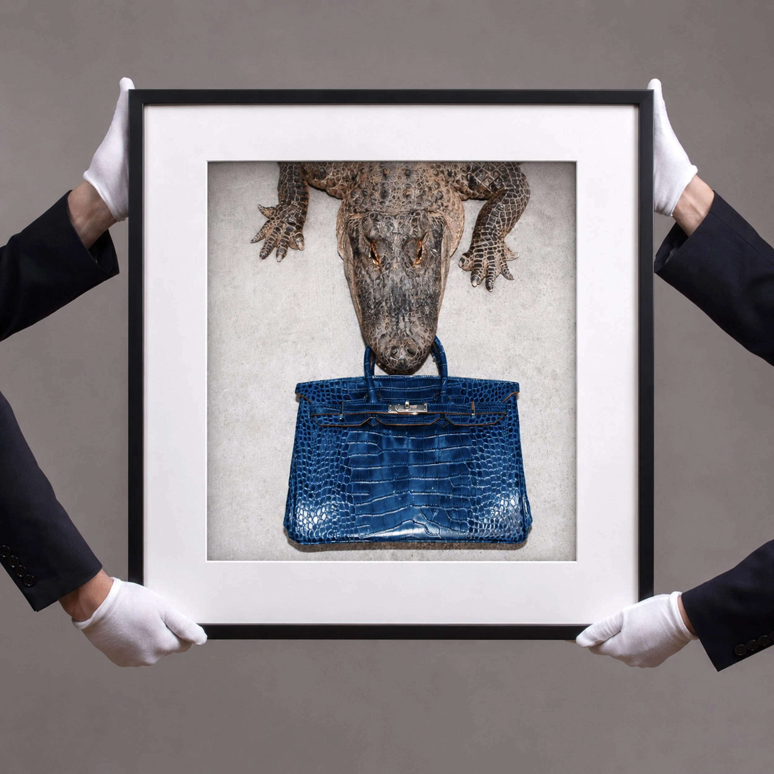 Blue Birkin Bite – 18 × 18 Inch Limited Edition Fine Art Print (Unframed)