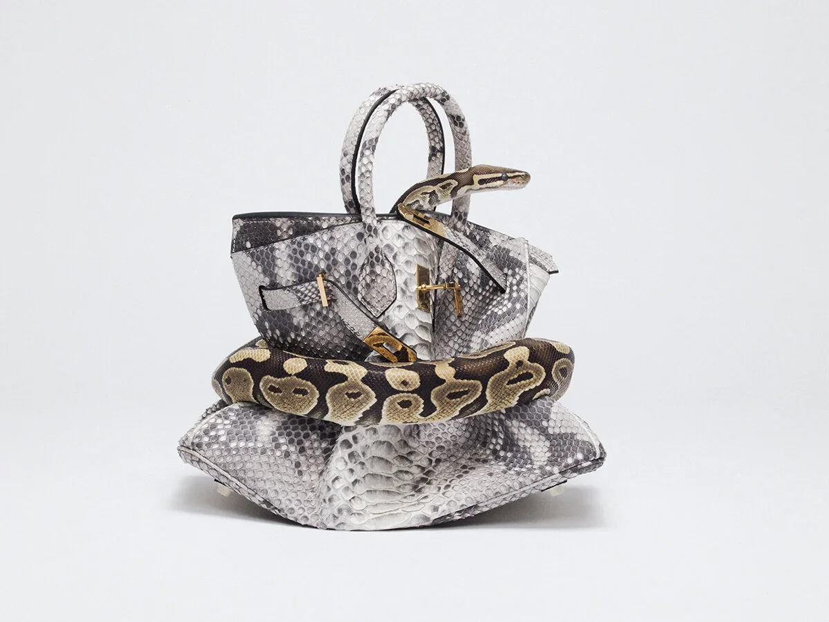 Python Birkin II