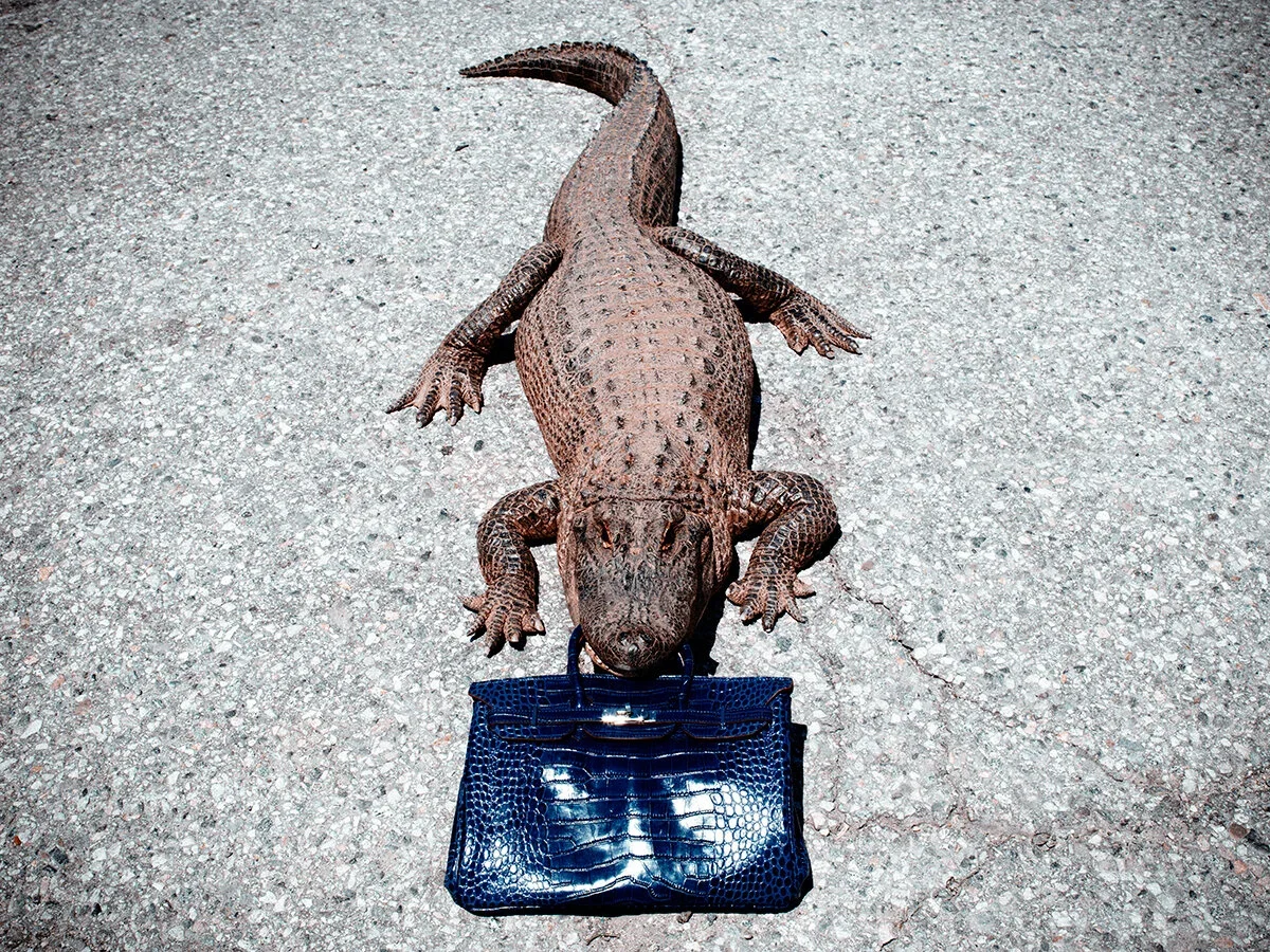 Gator Birkin
