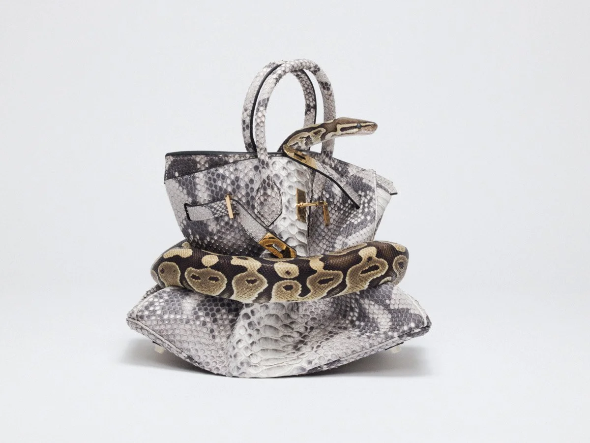 Python Birkin.jpg