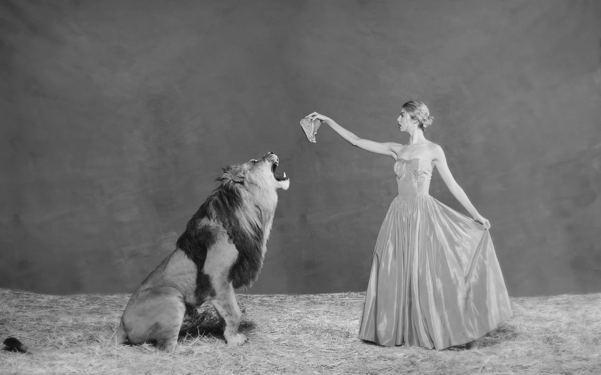 Lion Tamer
