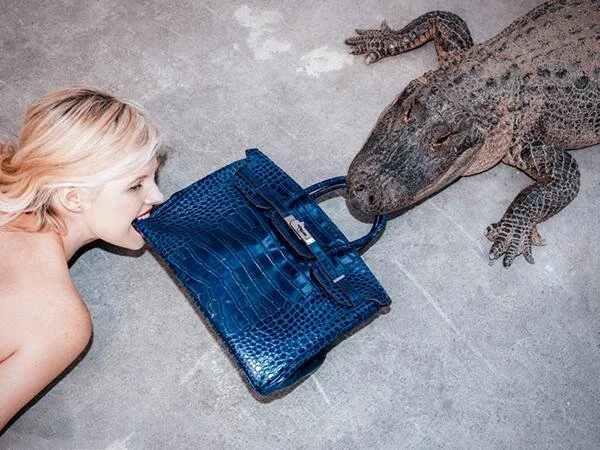 Gator Birkin III