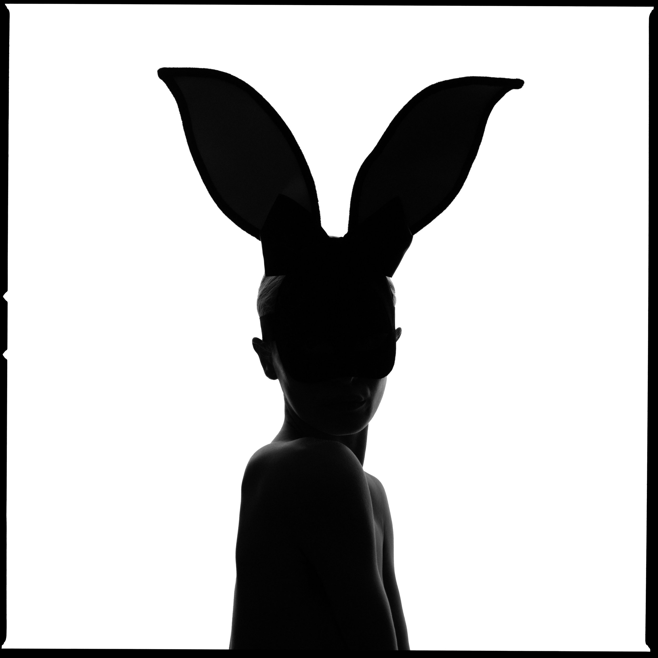 Bunny Silhouette