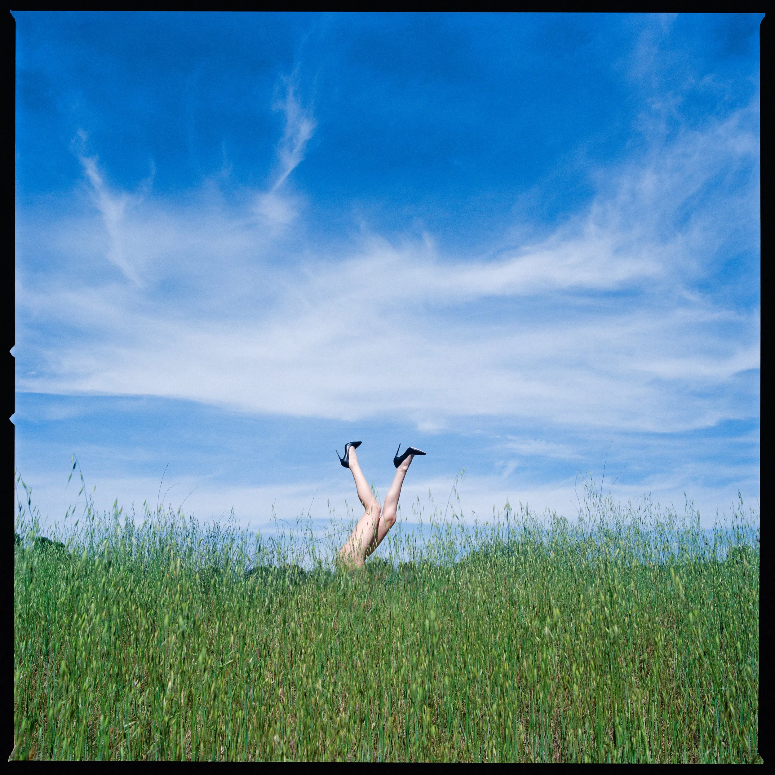 Legs in the Tall Grass