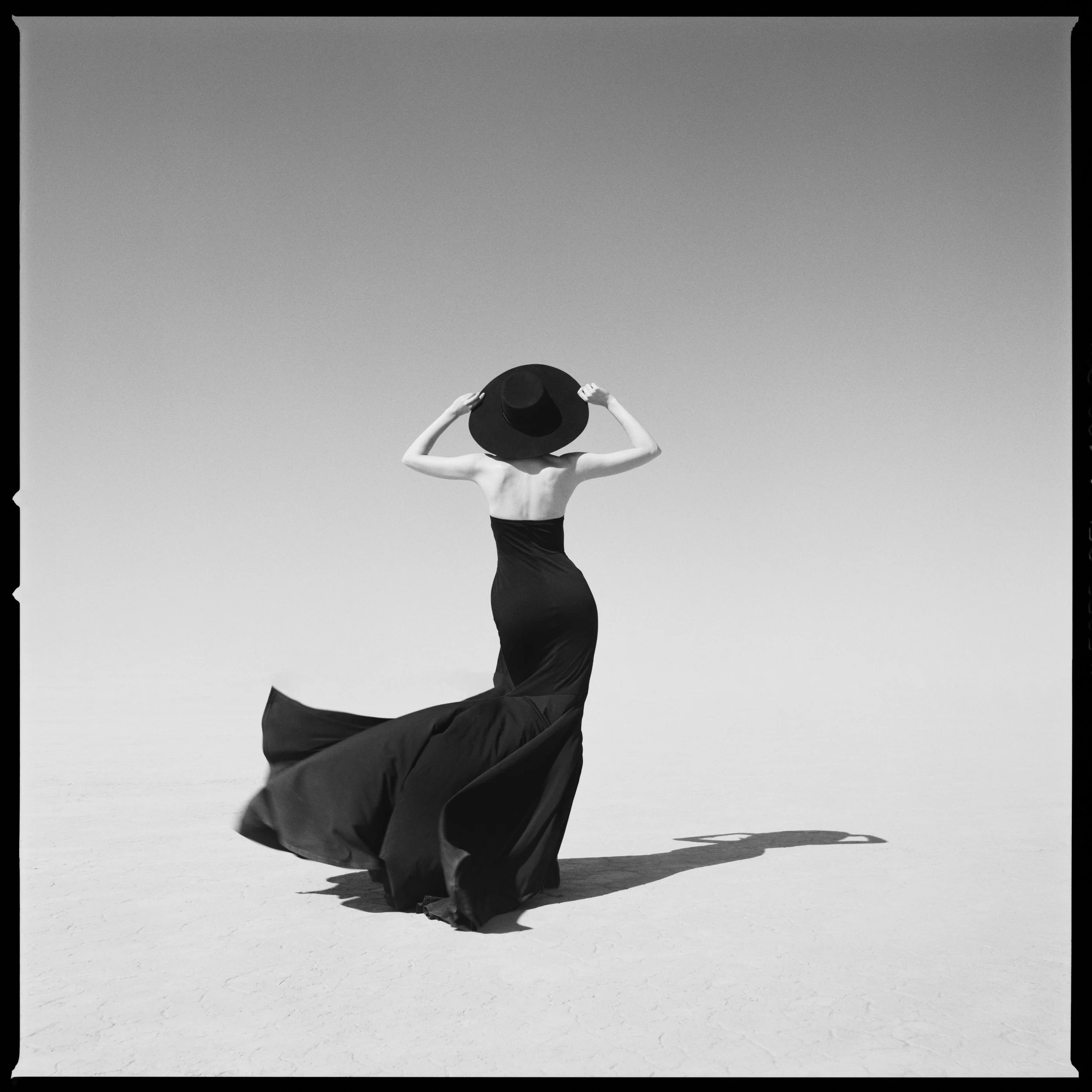 The Girl in the Wind