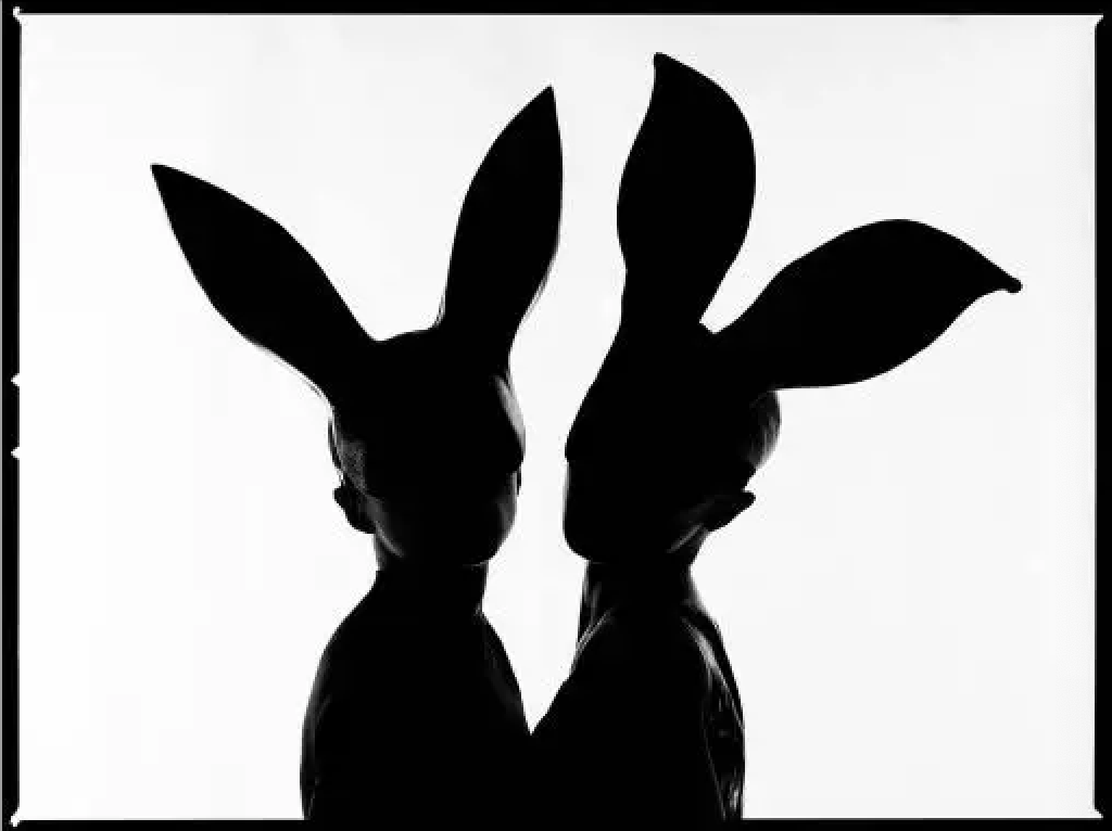 Bunnies Silhouette