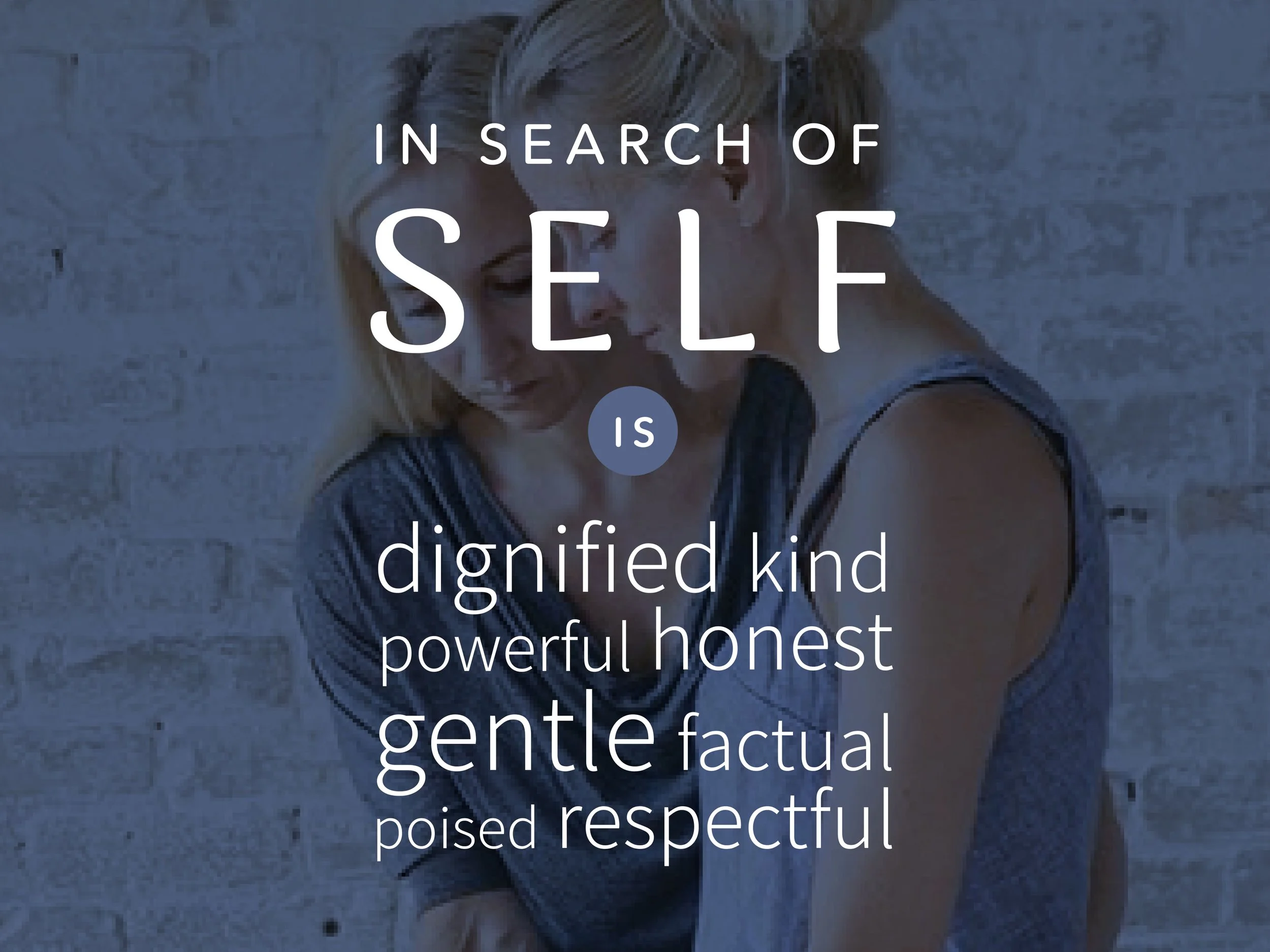 VSS-portfolio-insearchofself-mission3.jpg