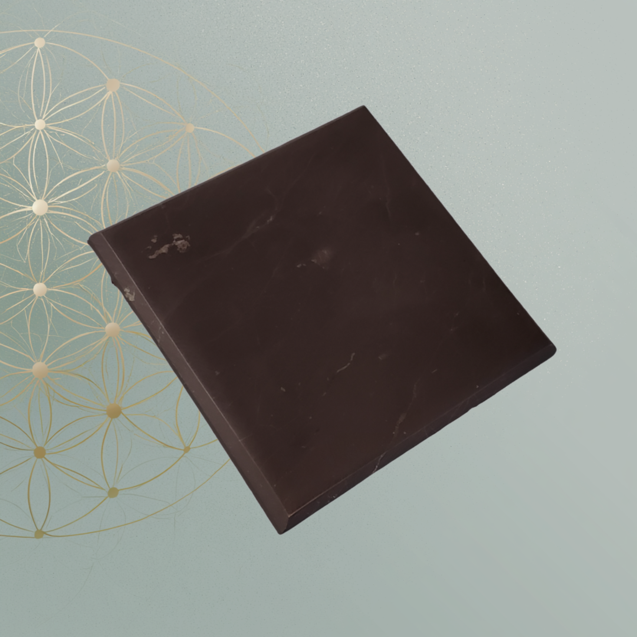 Shungite Plate