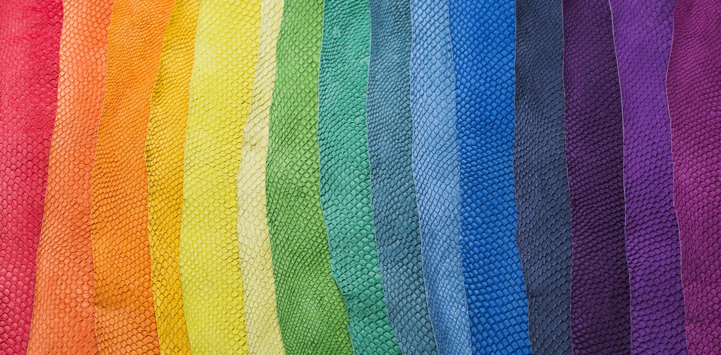 The Shedding of Skins: Joy as the Path to Transformation