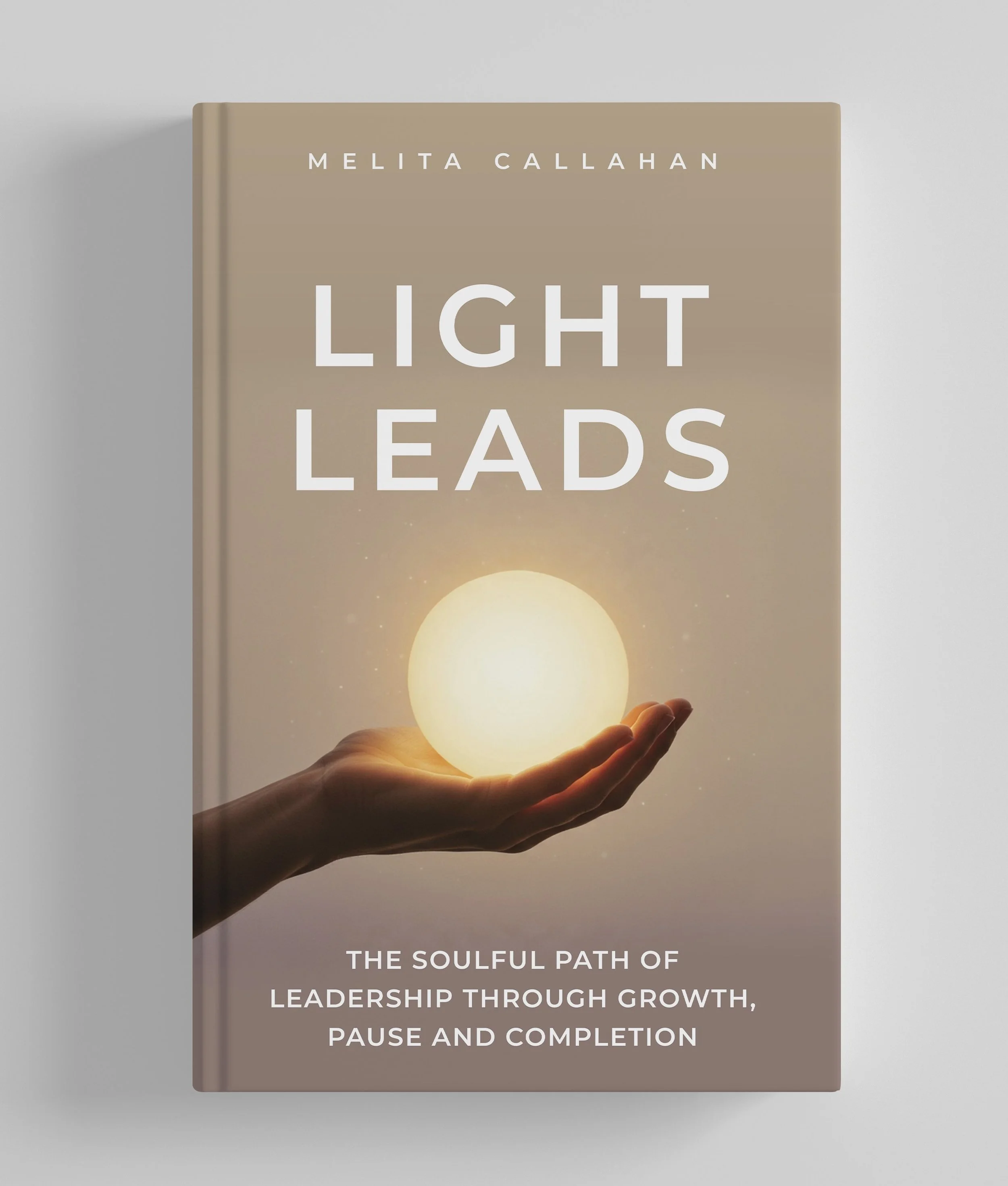 Light Leads 3D mockup (1) - Copy.jpg