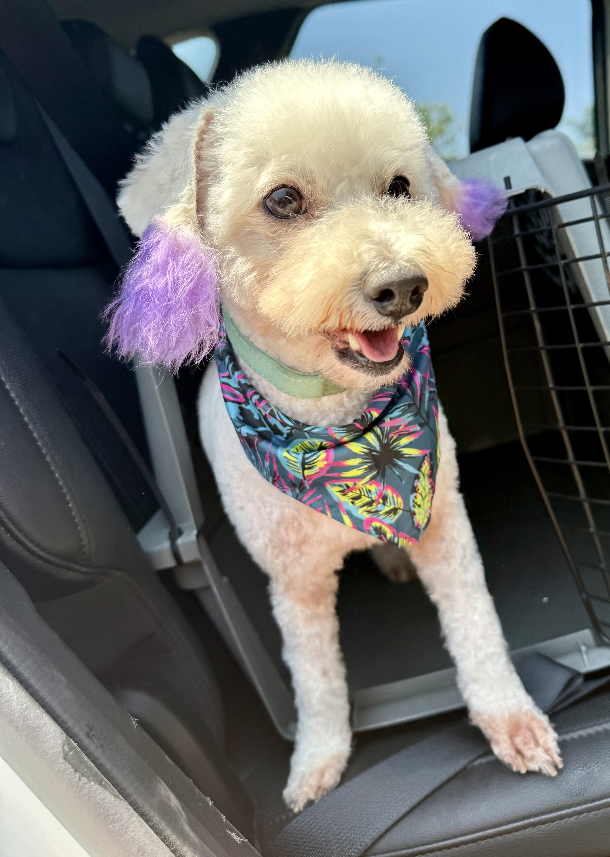 Munch - PENDING ADOPTION