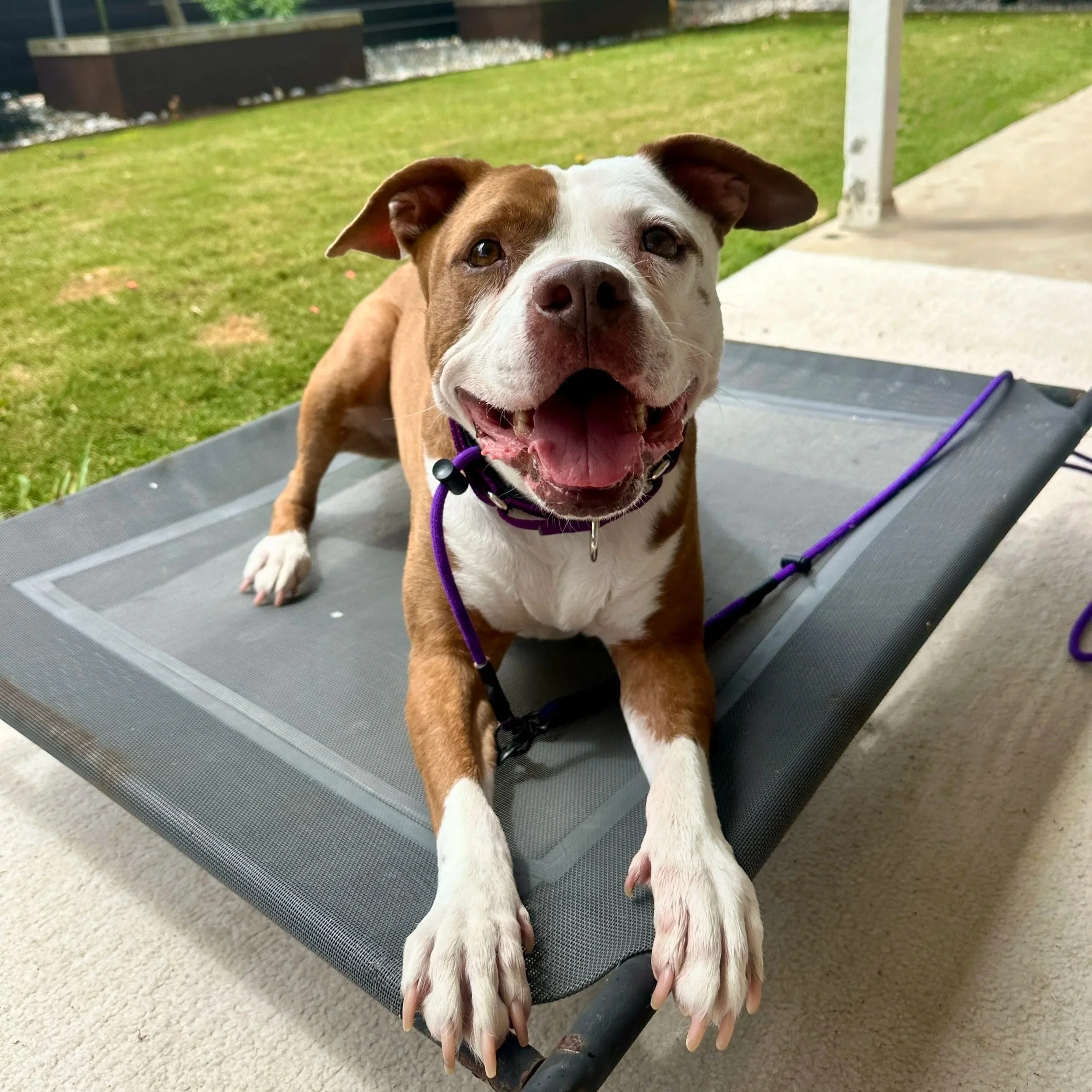 Chloe