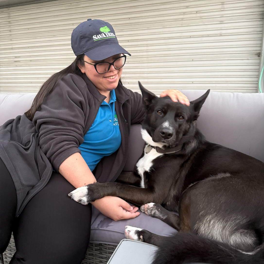 "I got my girl at a very tough time in my life, she became the reason I get out of bed in the morning. Willow has her own pillow on my bed where she lays her head and I tuck her in to the blankets with me. She adores her papa (more than she loves me,