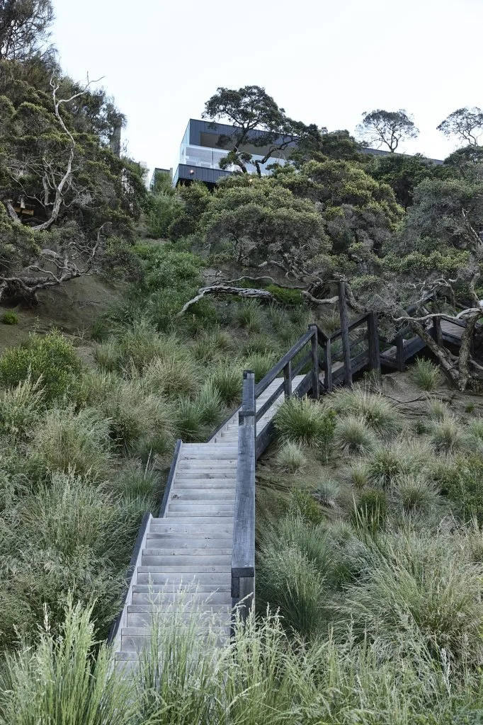 Wooden staircase ascending through dense green shrubbery and trees on a hillside with modern building visible at the top.
