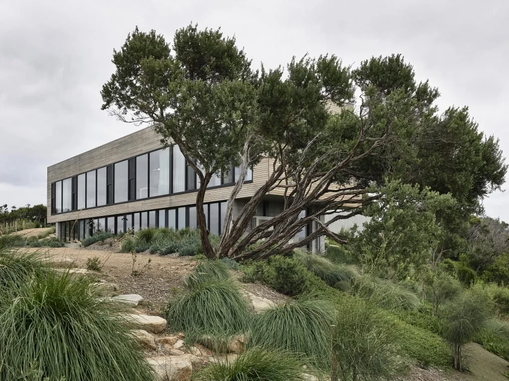 Modern building with large glass windows, situated on a slope with desert landscaping, including a prominent bent tree in the foreground.